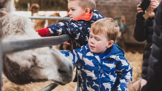 Family visitors at the Farm at Tatton Park, Cheshire