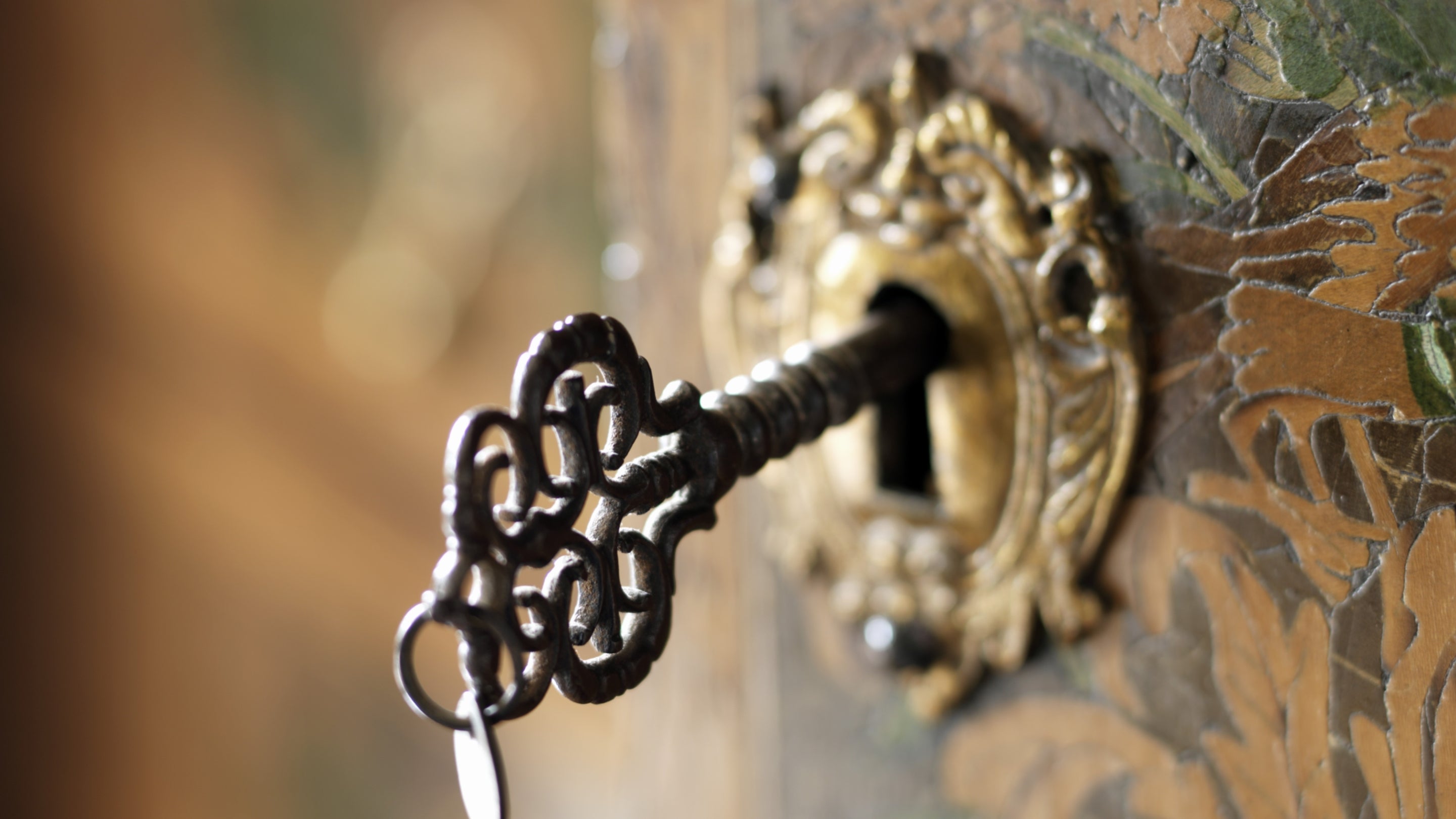 Ornate key in the lock of a cabinet at Antony, Cornwall