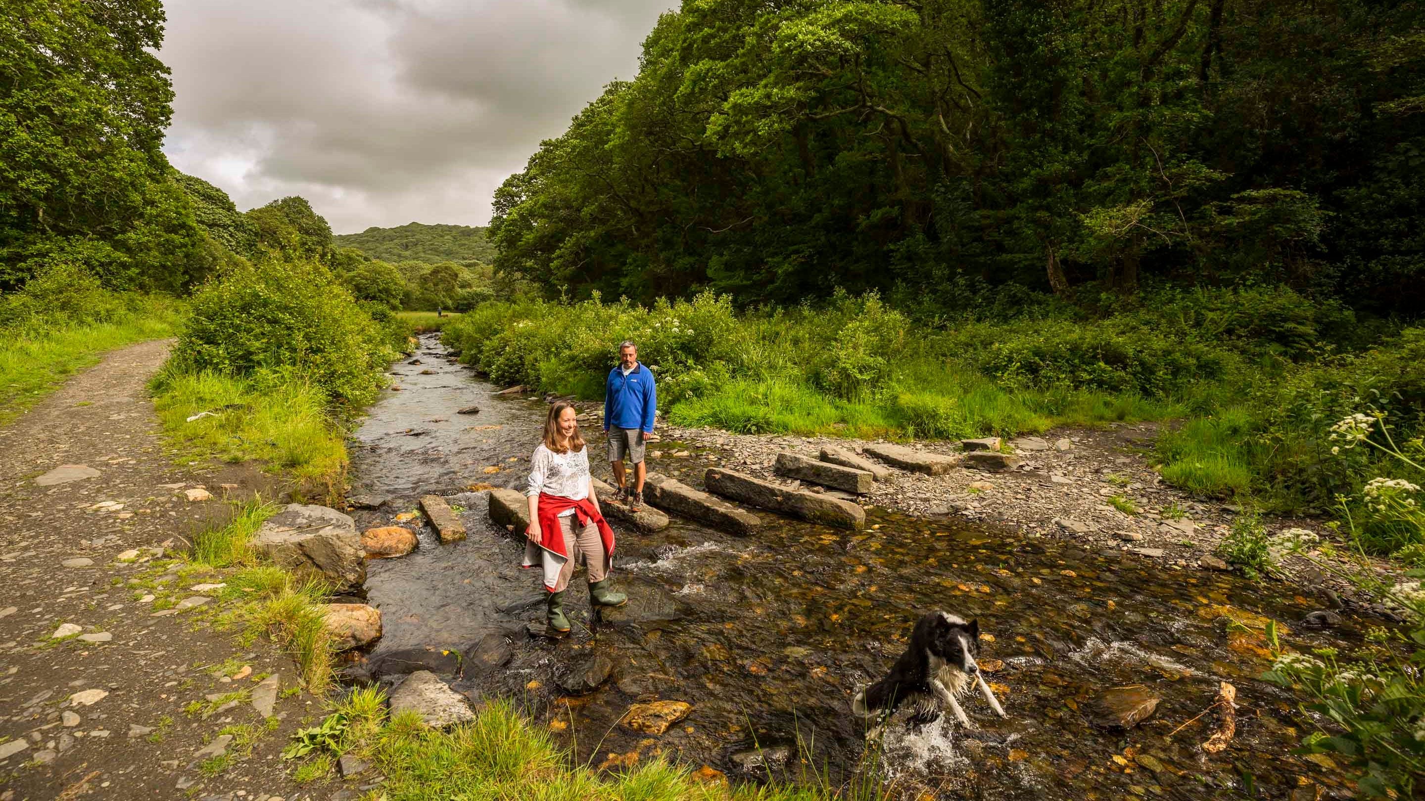 Visitors paddling in a river with their dog at Boscastle