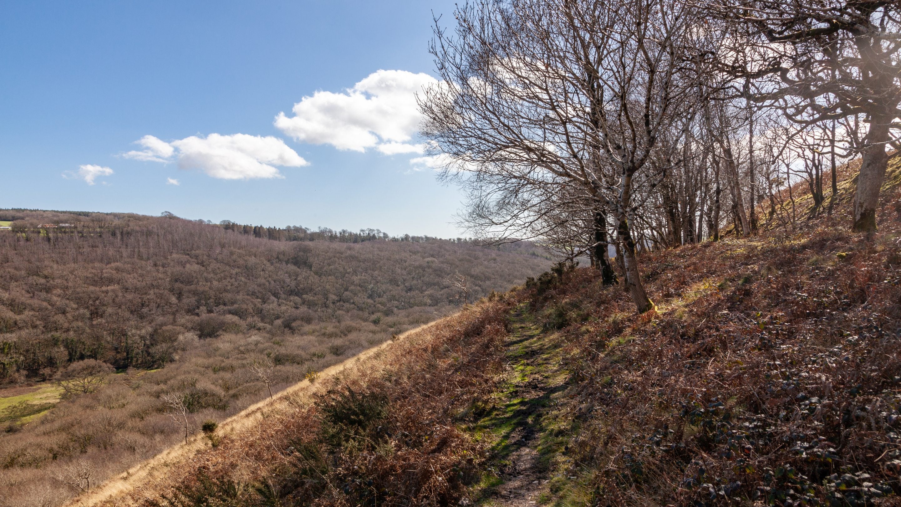 View from the hillfort at Cadsonbury