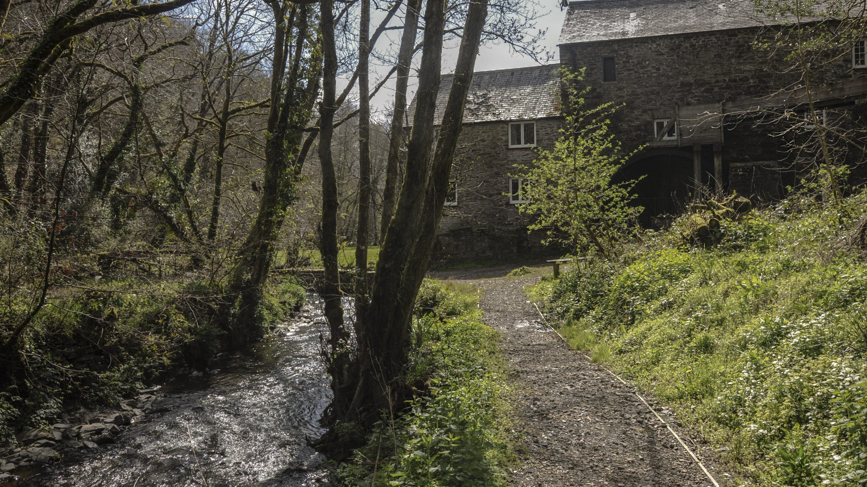 Path behind the mill leading to the wheel at Cotehele Mill, Cornwall