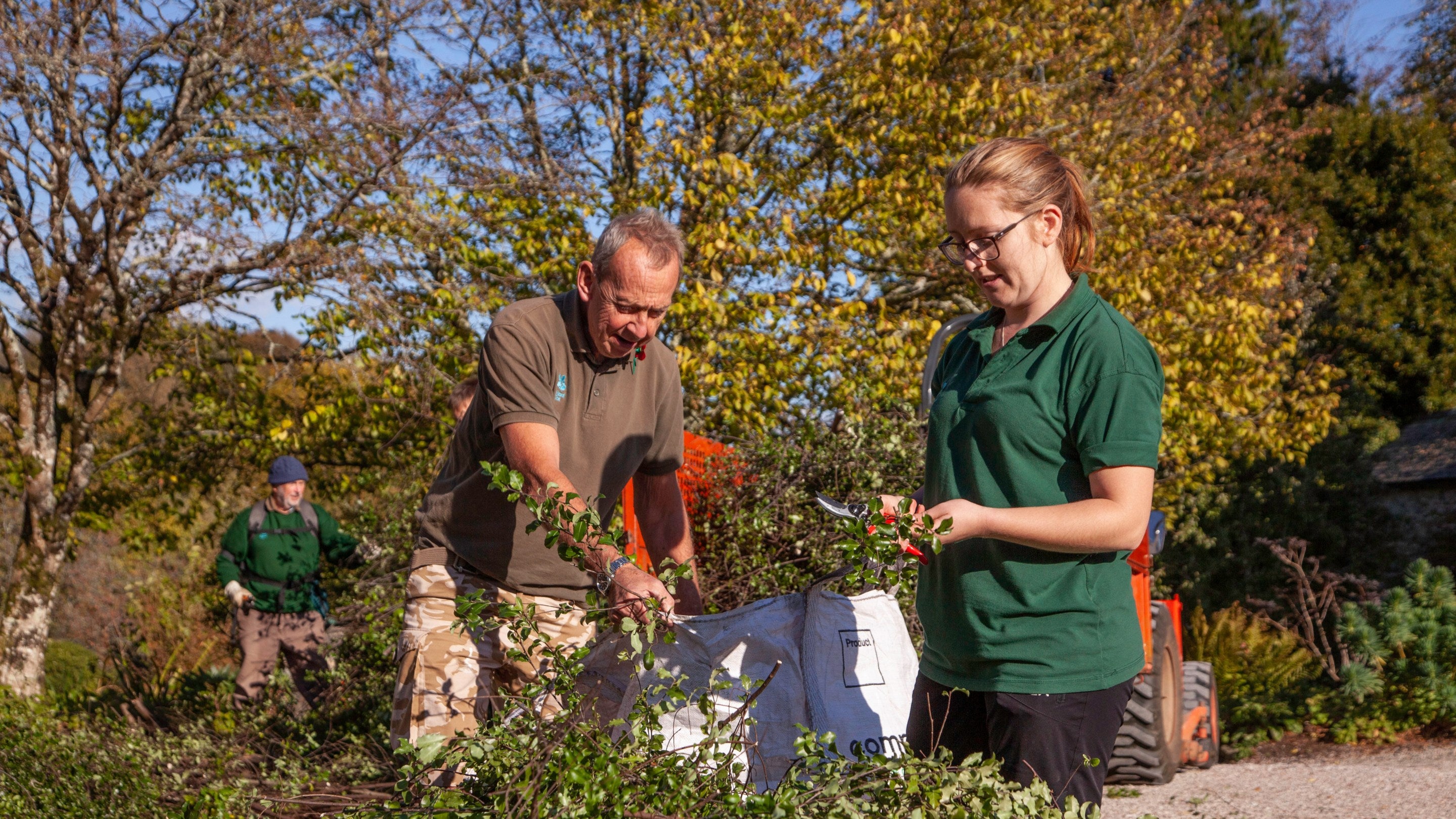 Volunteers and staff making the pittosporum base of the Christmas flower garland at Cotehele, Cornwall