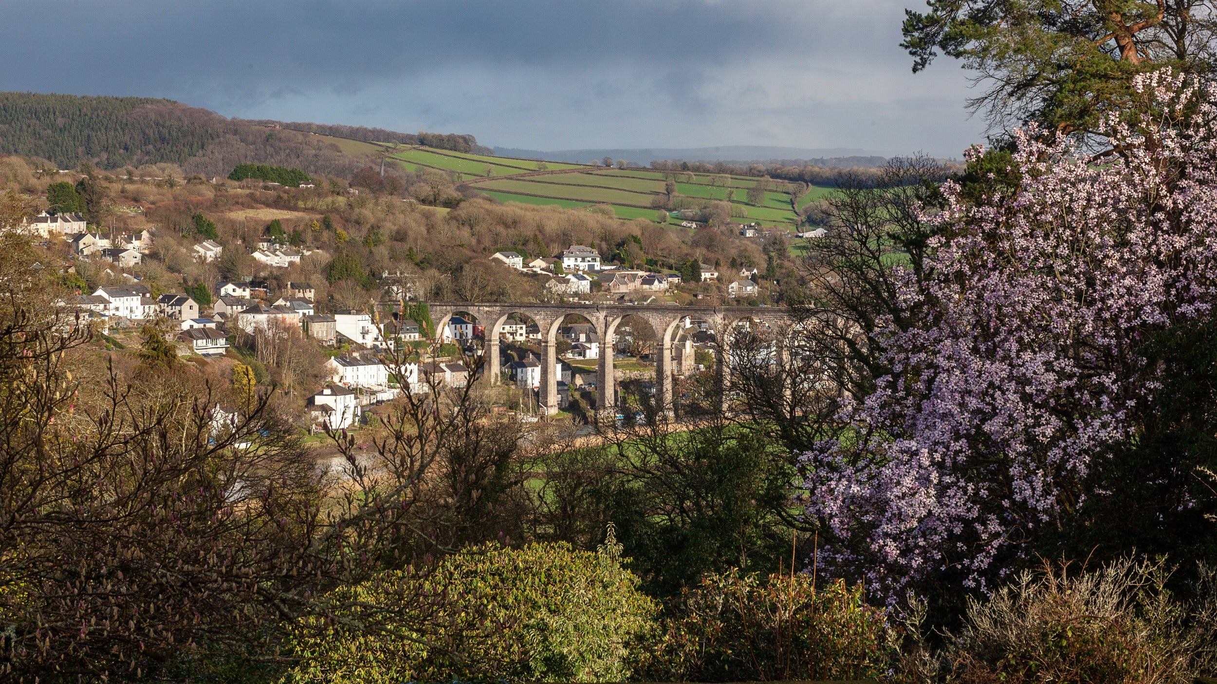 Early Spring from the terrace at Cotehele, Cornwall