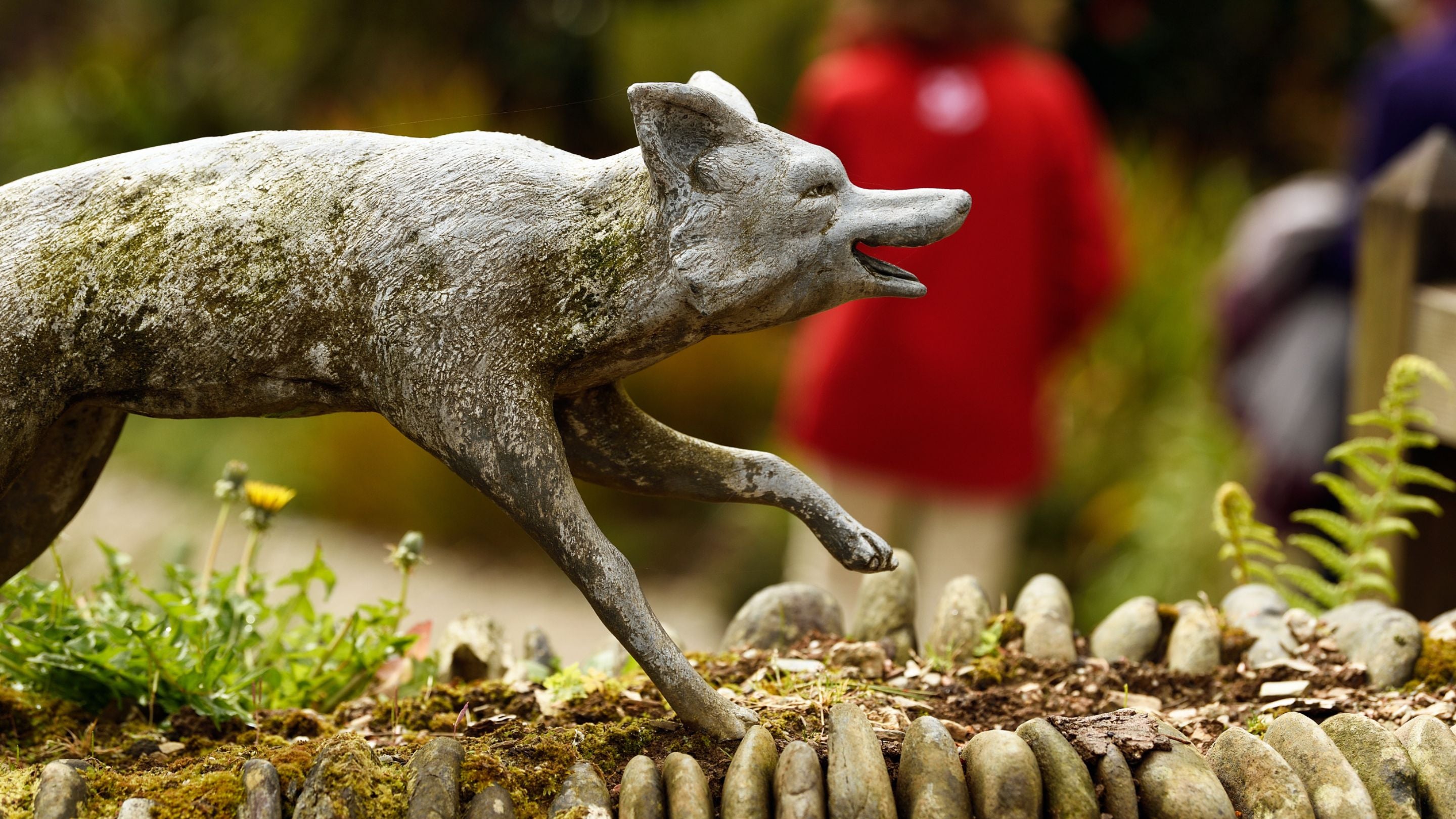 Fox sculpture, an emblem of the Fox family who donated Glendurgan Garden, Cornwall