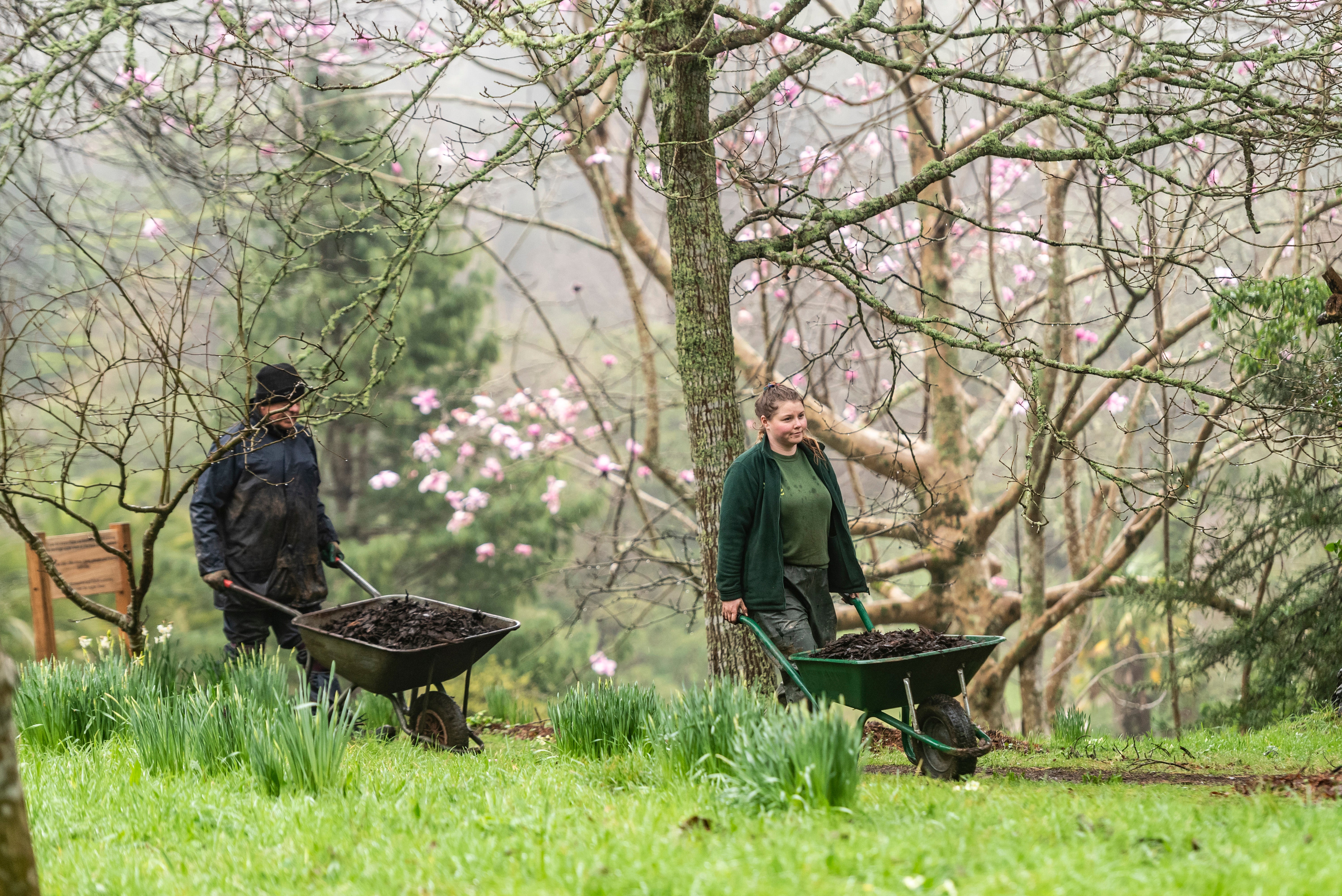 Gardeners at Glendurgan Garden