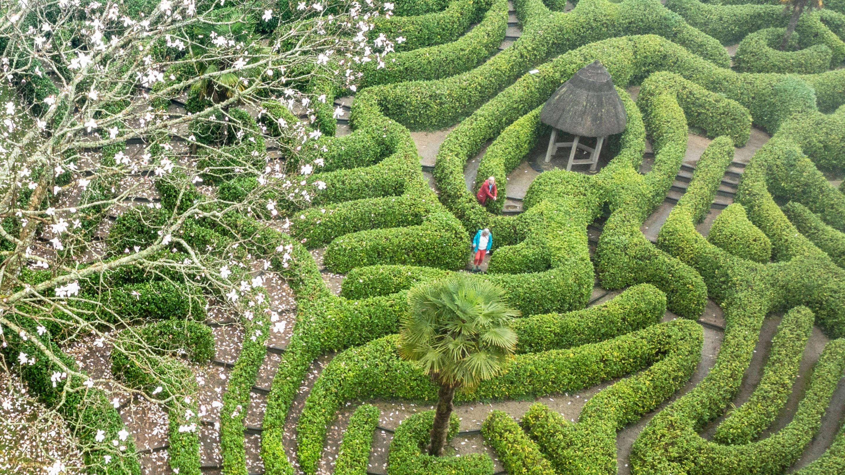 A maze from above with two people walking around inside it