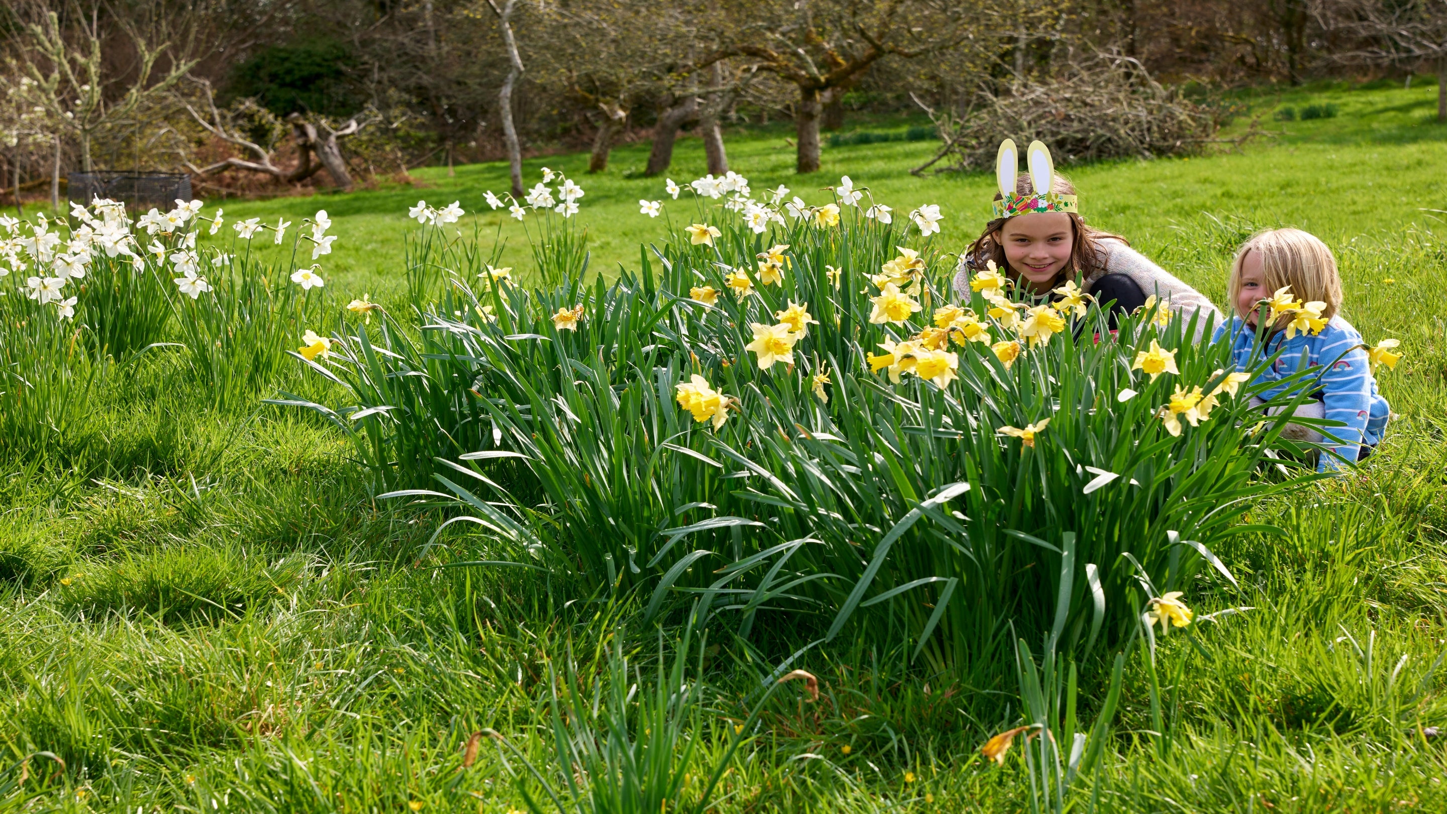Children peeking behind daffodils at Godolphin.