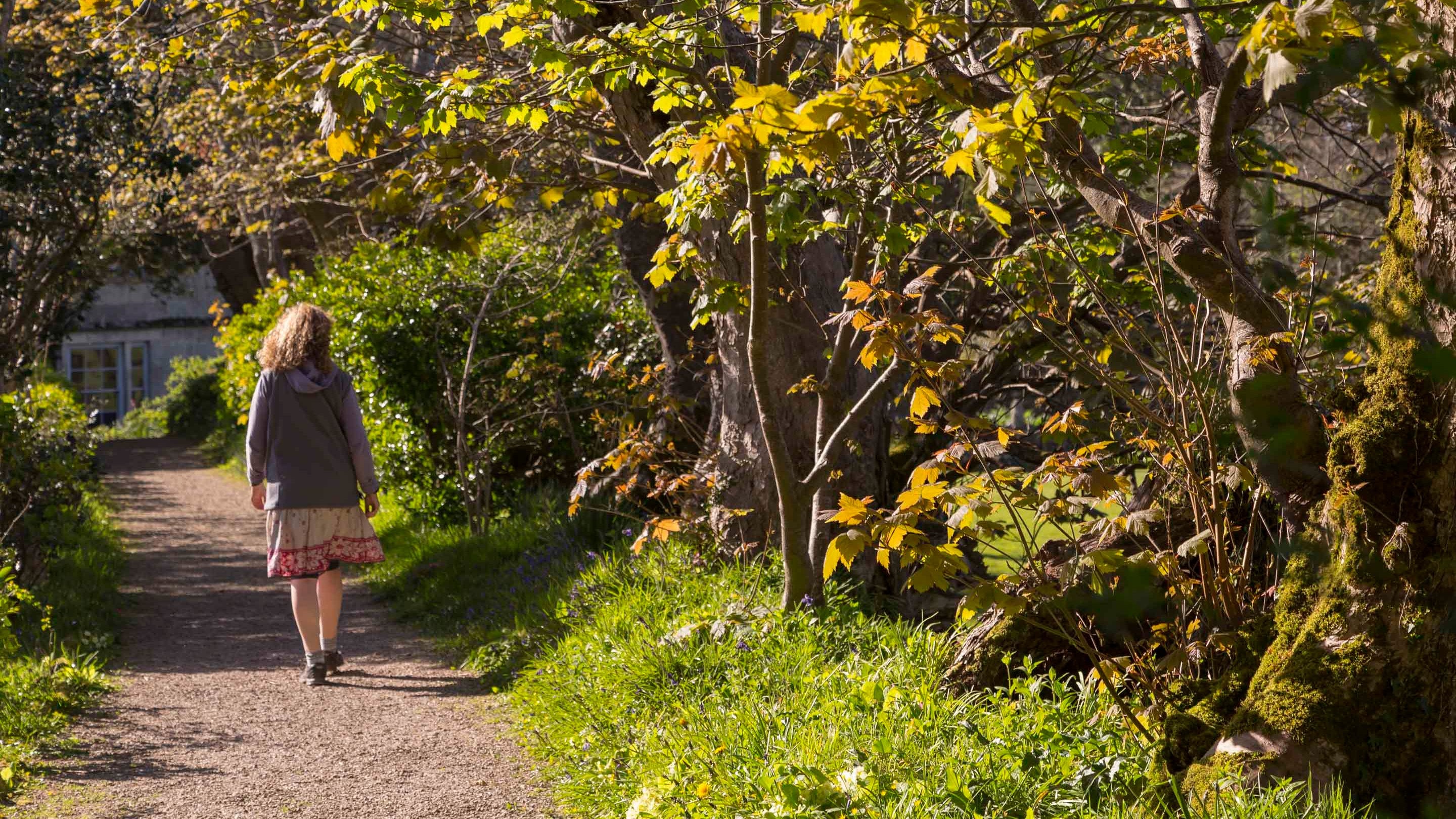 A visitor walks away down a path in the gardens at Godolphin Cornwall
