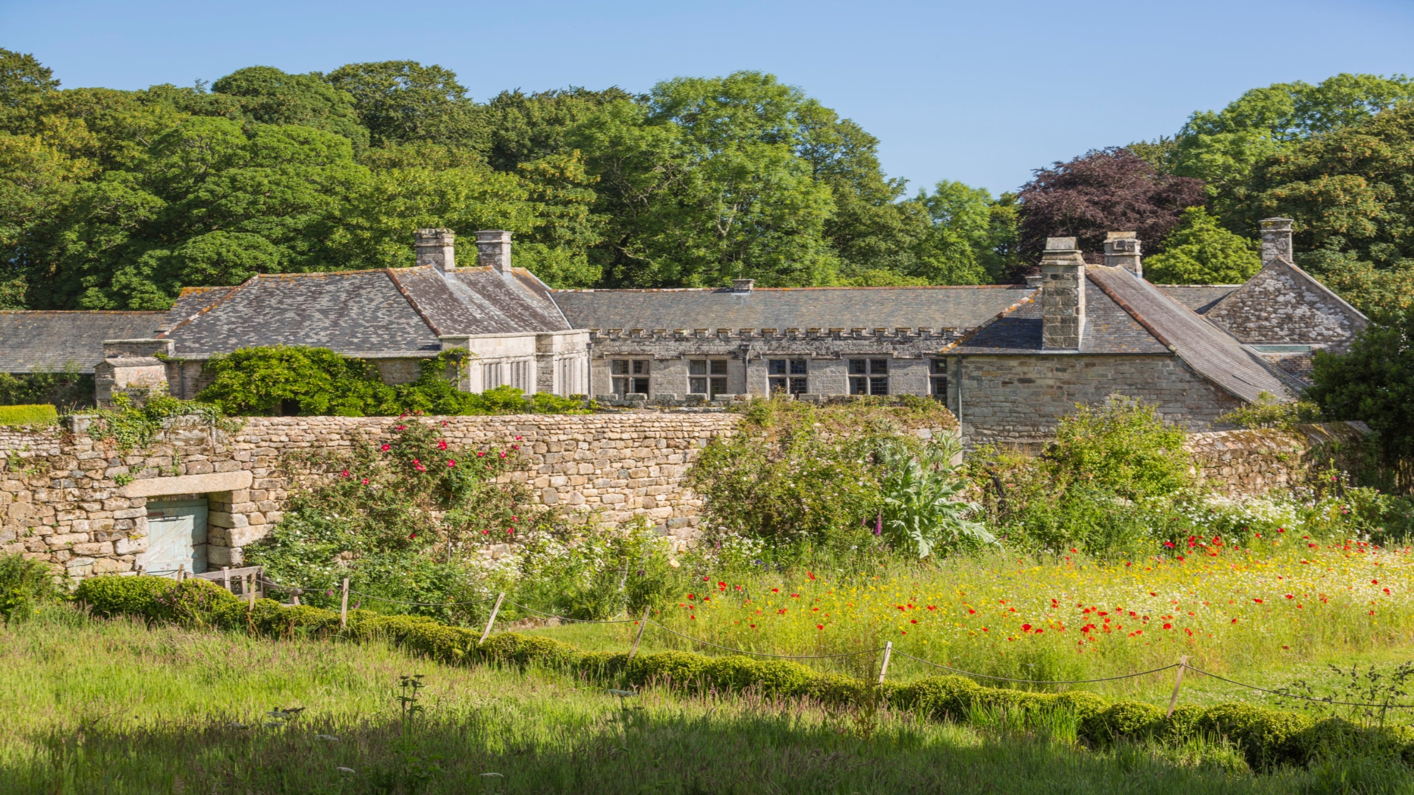 view over the side garden at Godolphin, wildflowers in the foreground and house in the background