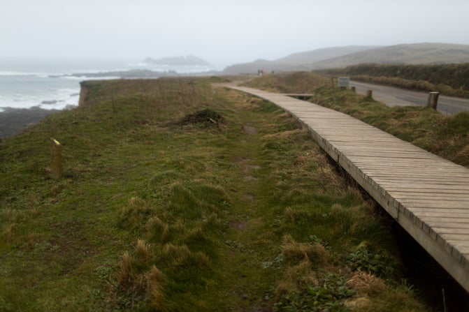 Boardwalk at Godrevy along the South West Coast Path to the headland, with sea views inbetween a road and the cliff edge