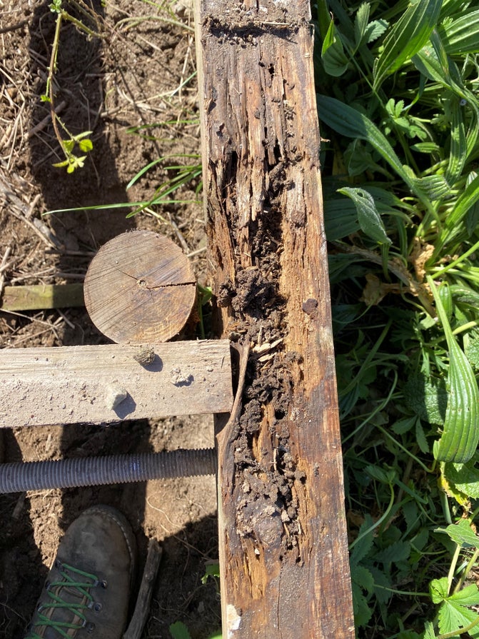 Boardwalk showing signs of damage beyond repair