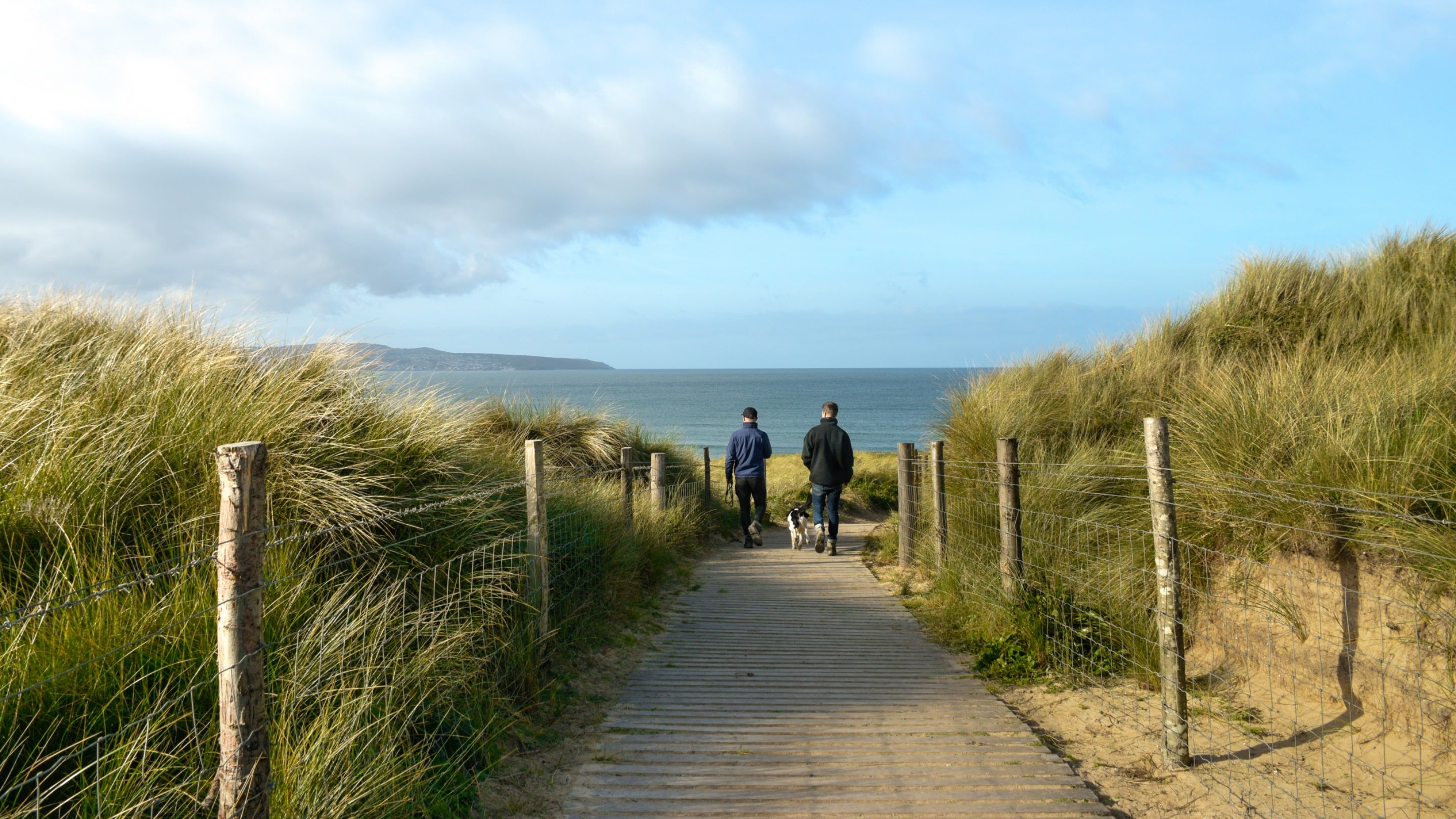 Two people and their dog walk between the dunes on a wooden boardwalk towards the sea at Godrevy