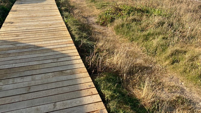 New wooden walkway replacement installed along coast at Godrevy