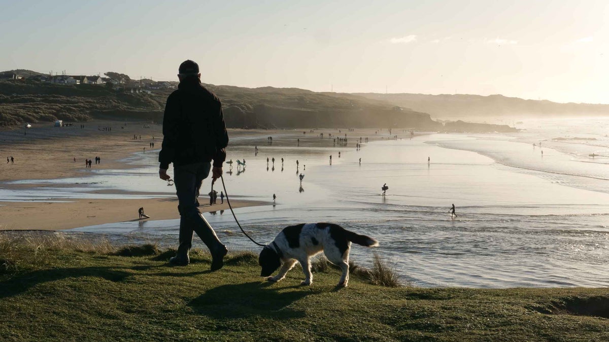 Dog walking Godrevy National Trust