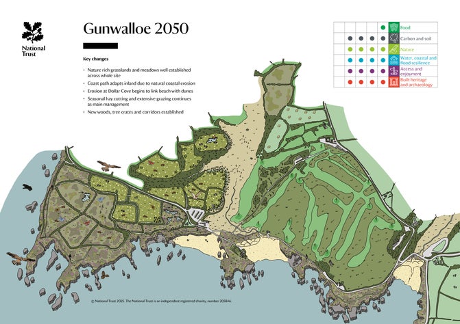 Illustration of Gunwalloe vision for land use change to restore nature 2050