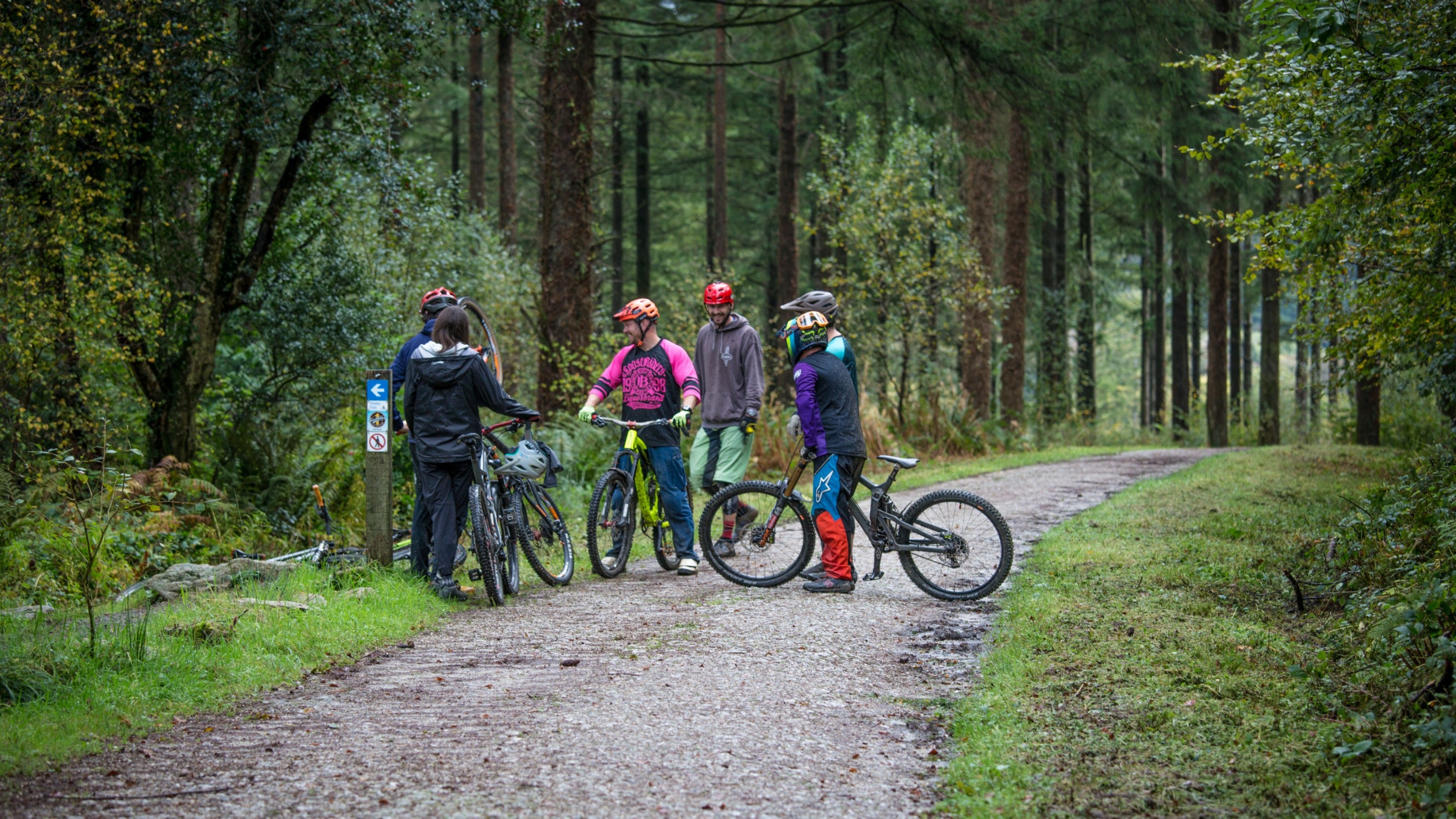 Cycling through the trees at Lanydrock, Cornwall