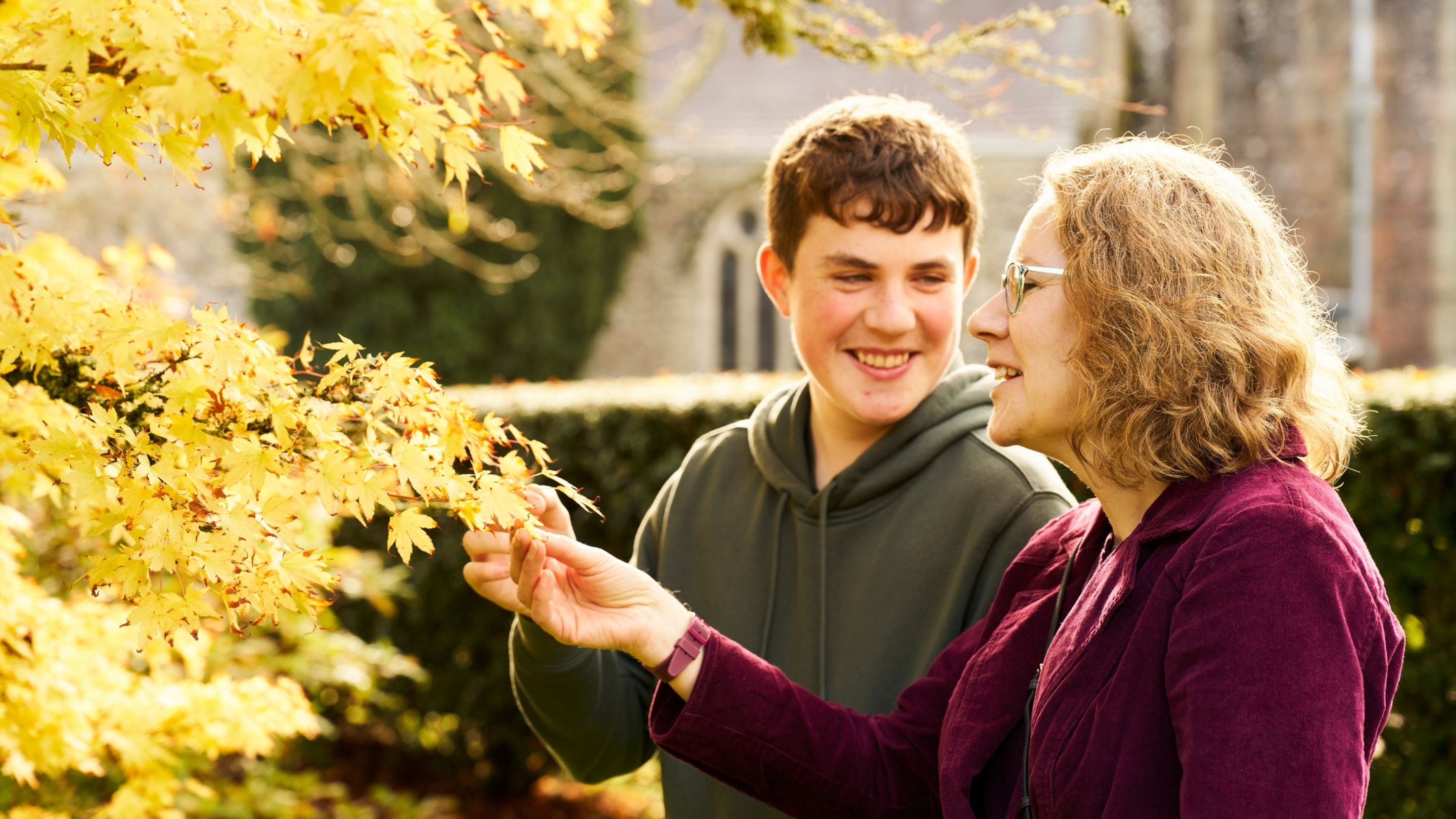 A smiling woman and teenage boy looking at the golden yellow leaves of a Japanese maple in Lanhydrock's gardens, with the house in the background.