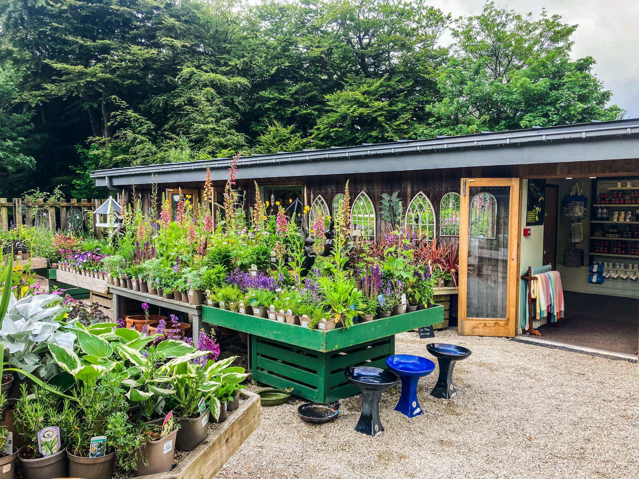 Lanhydrock plant centre summer 22
