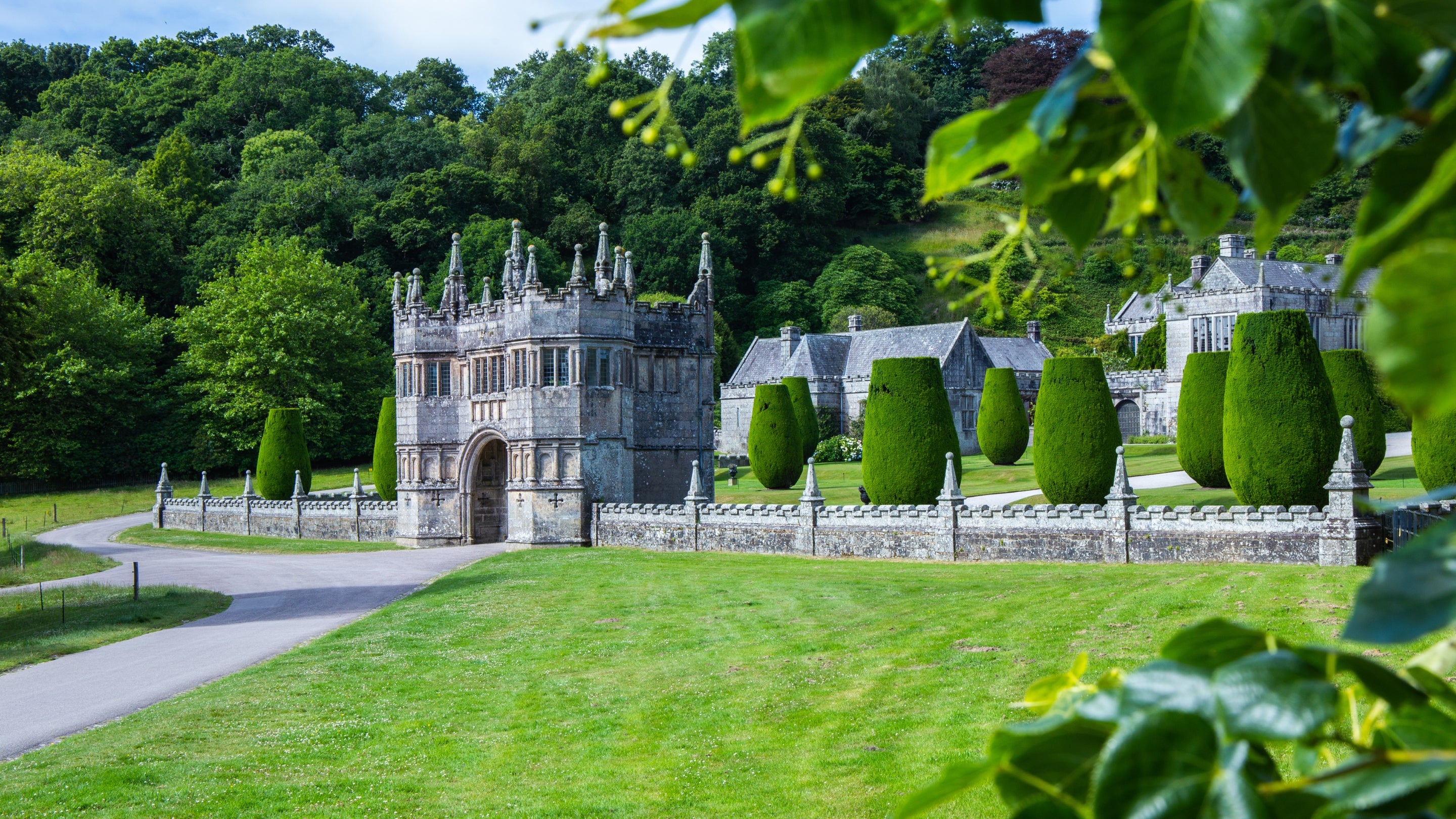 Lanhydrock's stone gatehouse and mansion surrounded by clipped yew trees, lawns and woodland, viewed through leafy branches.