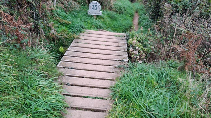 Lansallos to Polperro walking trail step 6