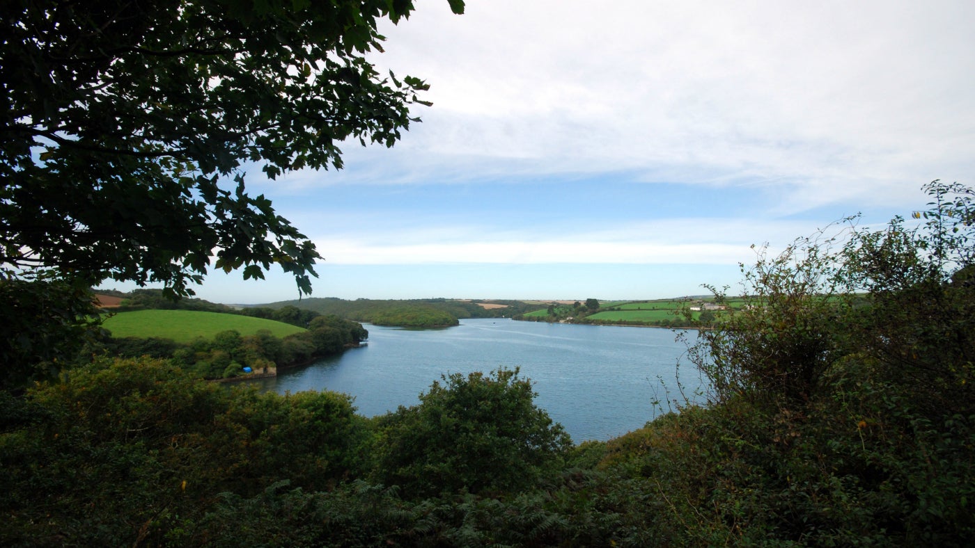 View west up the Helford River from Frenchman's creek