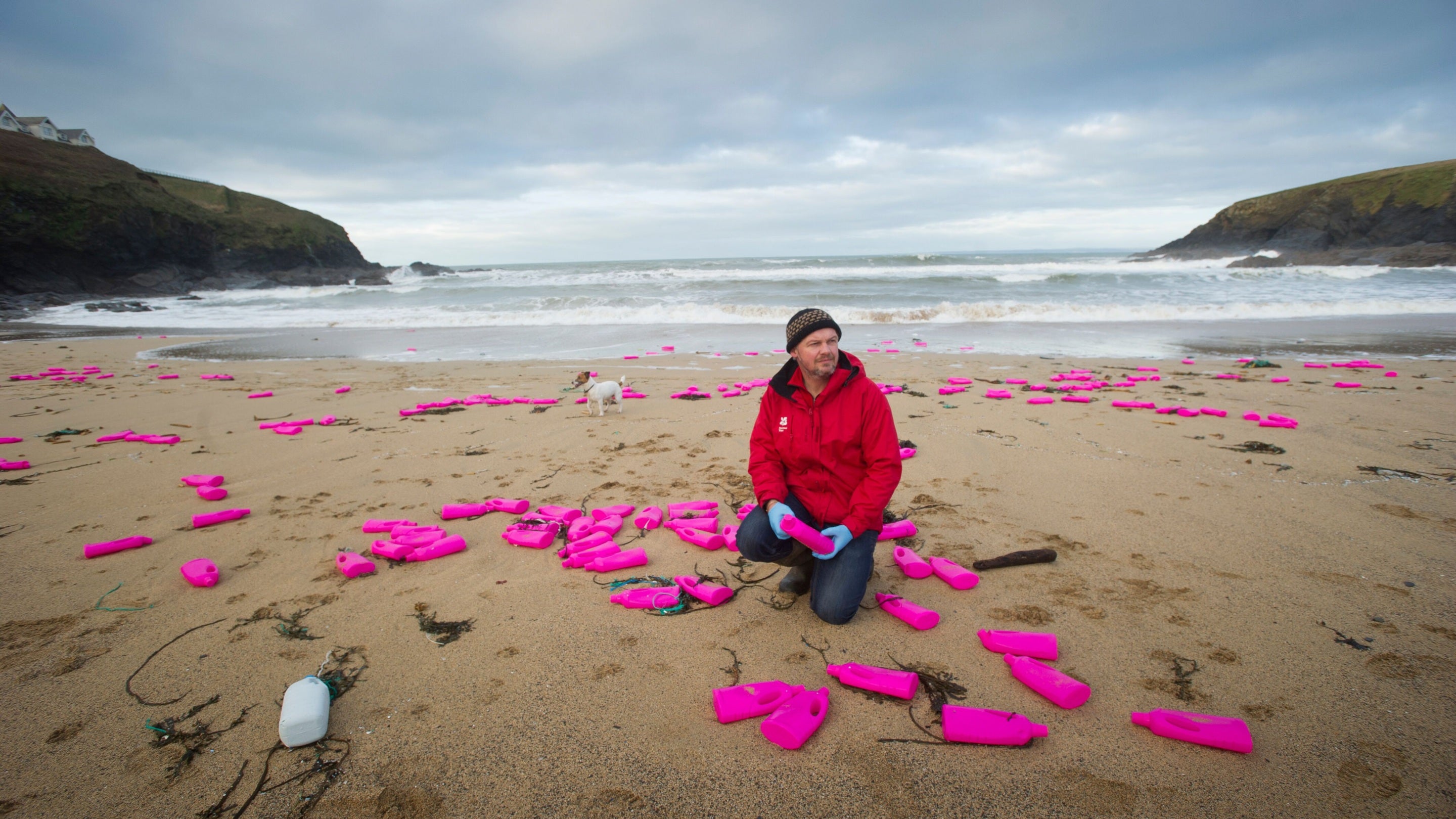 Ranger on the beach kneeling amongst washed-up plastic detergent bottles on Poldhu beach at Lizard Point, Cornwall