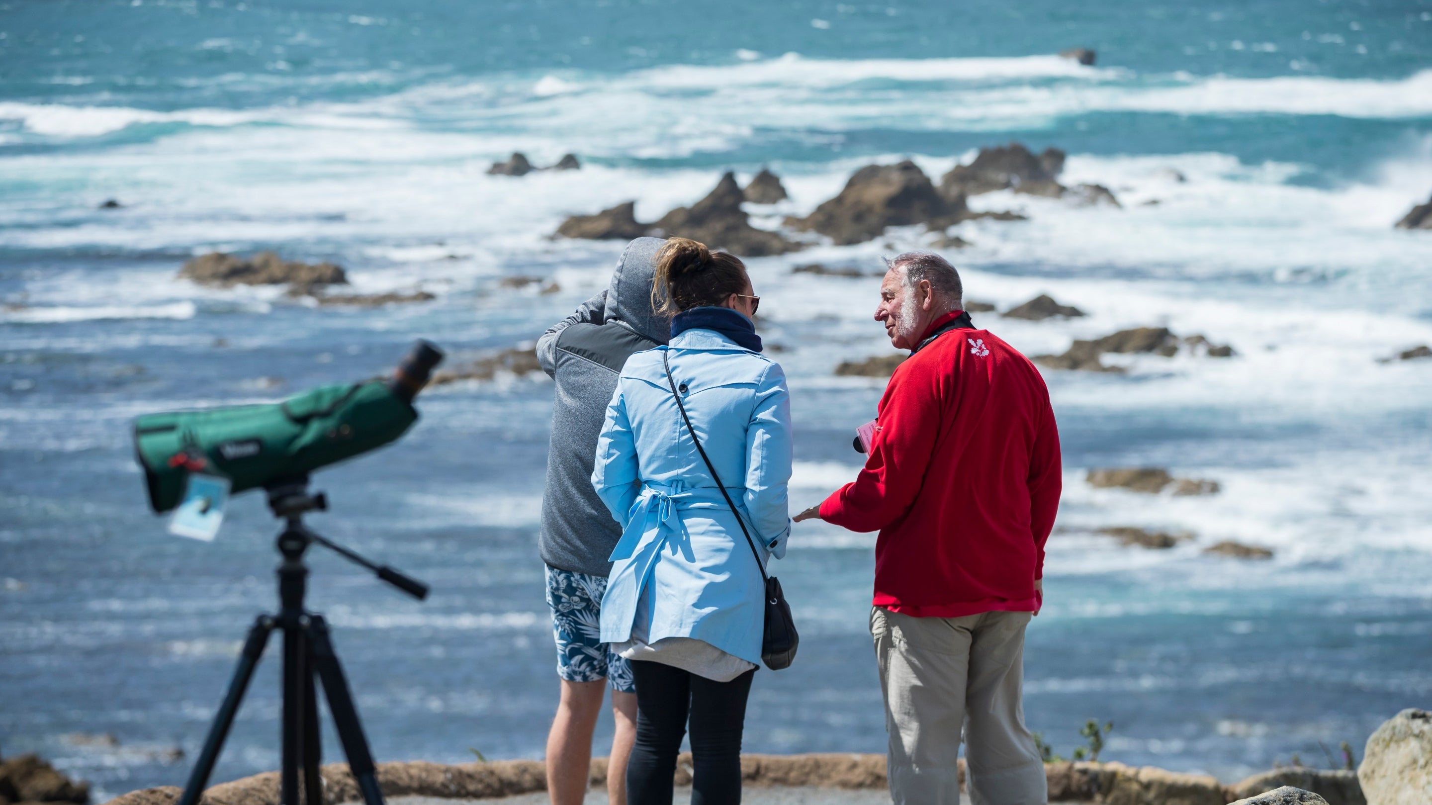Volunteers show visitors the local wildlife from the watchpoint at Lizard Point, Cornwall