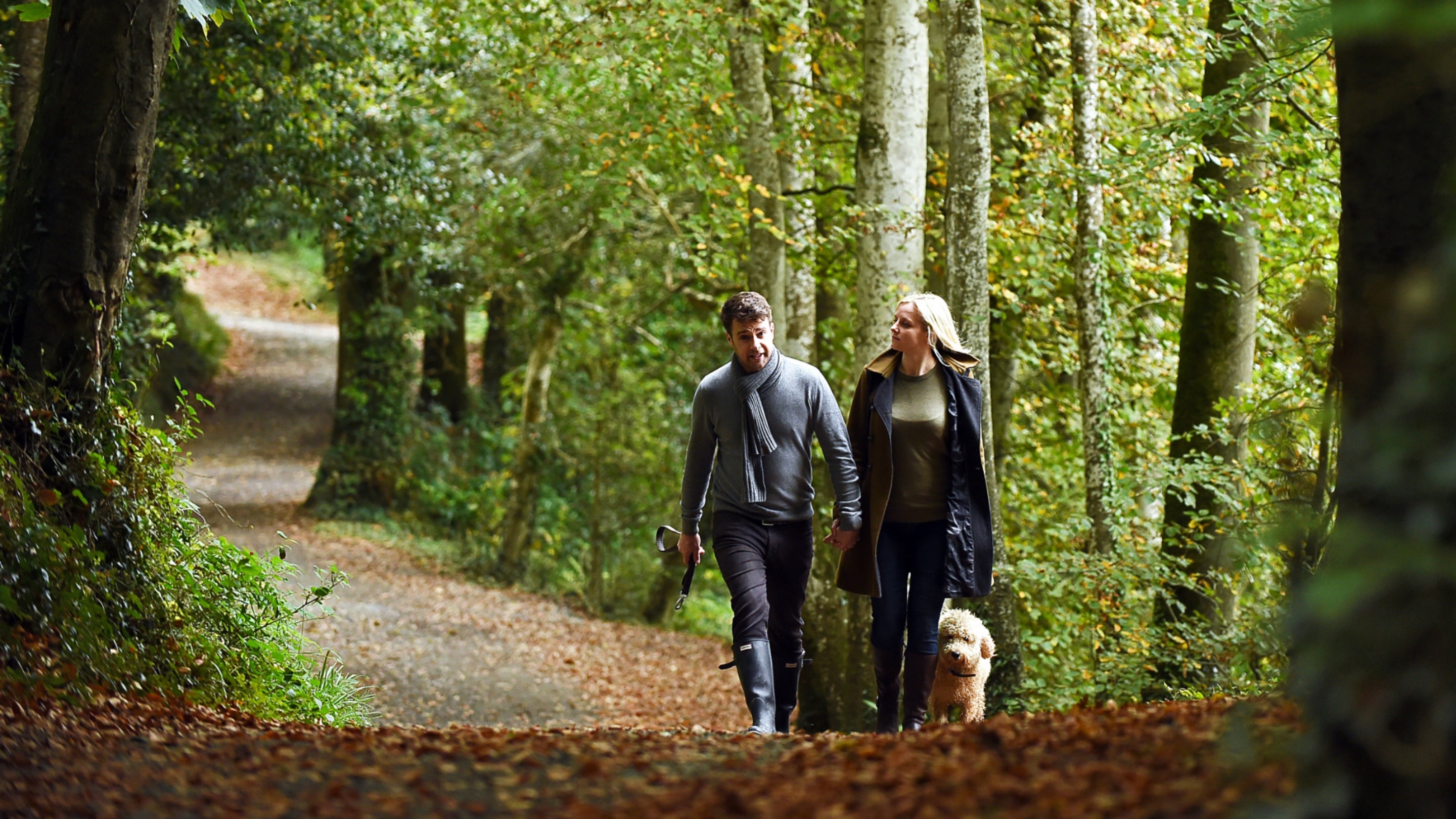 A couple walking along the main pathway of the estate at Penrose in autumn with their dog. The path is lined with trees.