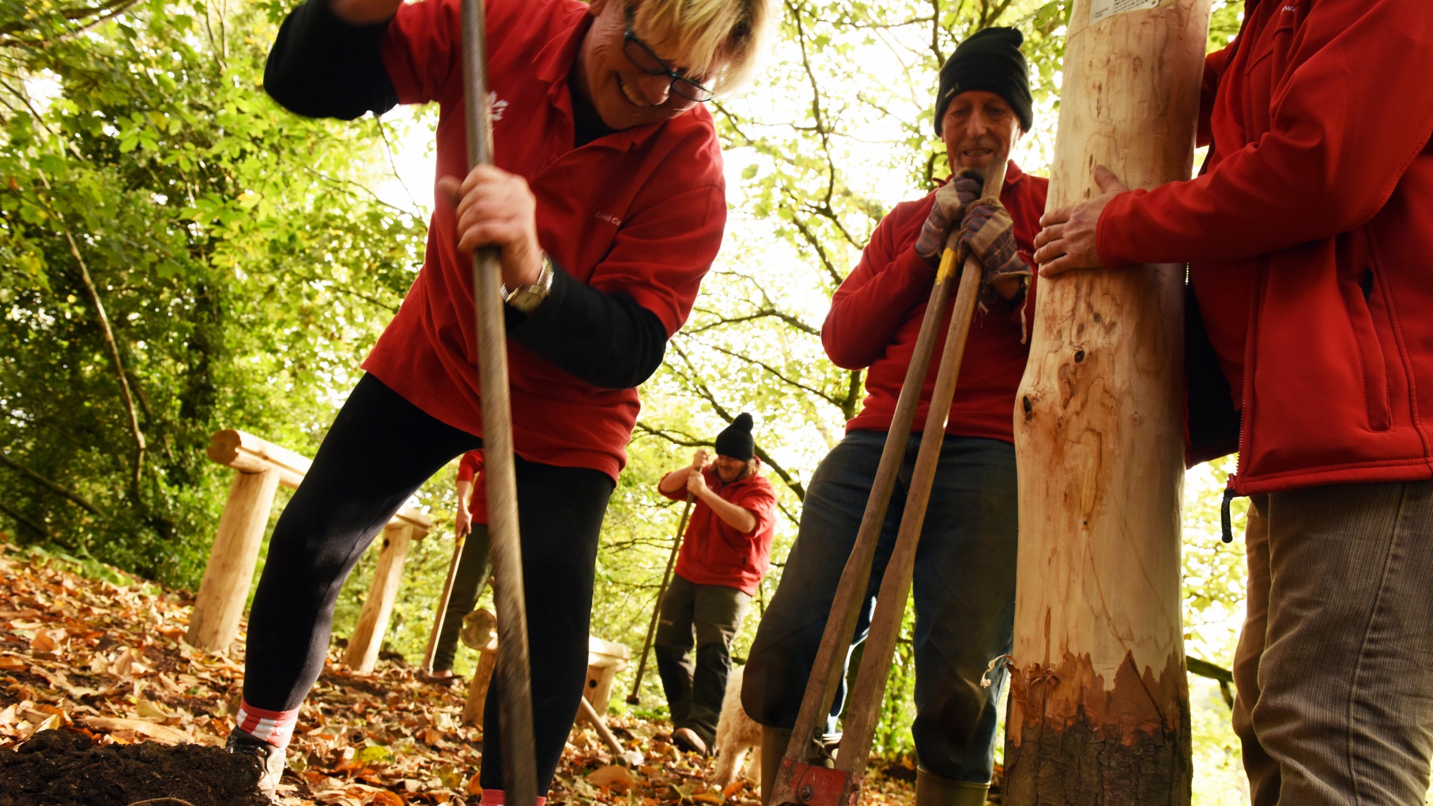 Volunteer rangers digging and installing a wooden post at Penrose