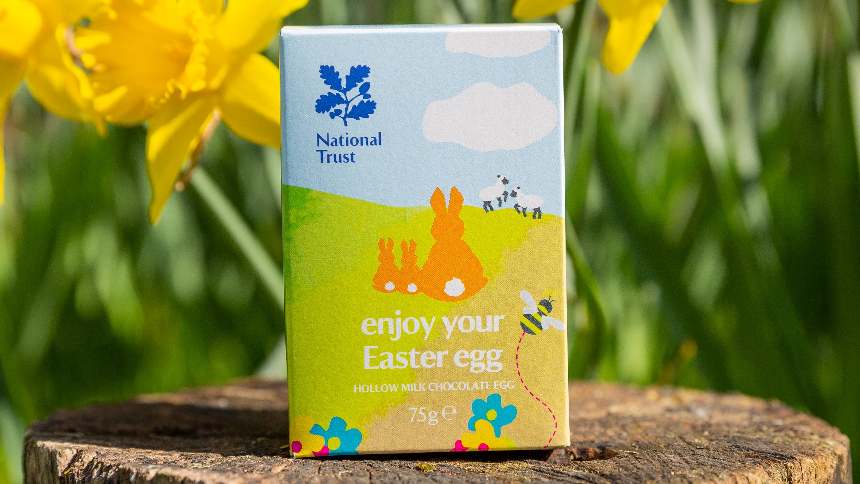 An Easter egg box with daffodils in the background