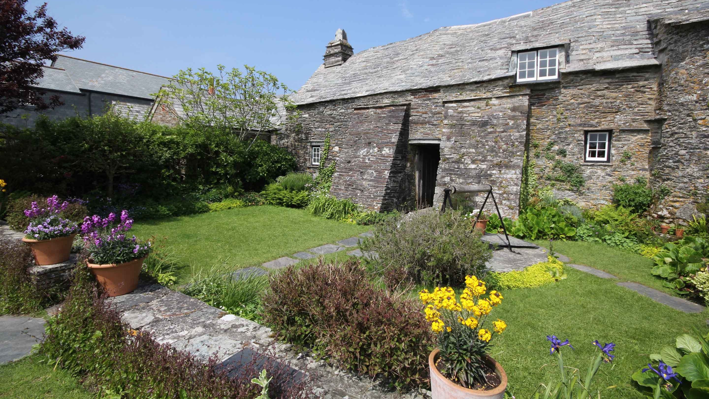 The back garden of Tintagel Old Post Office, Cornwall, in early June featuring colourful flowers in pots and a small lawned area.