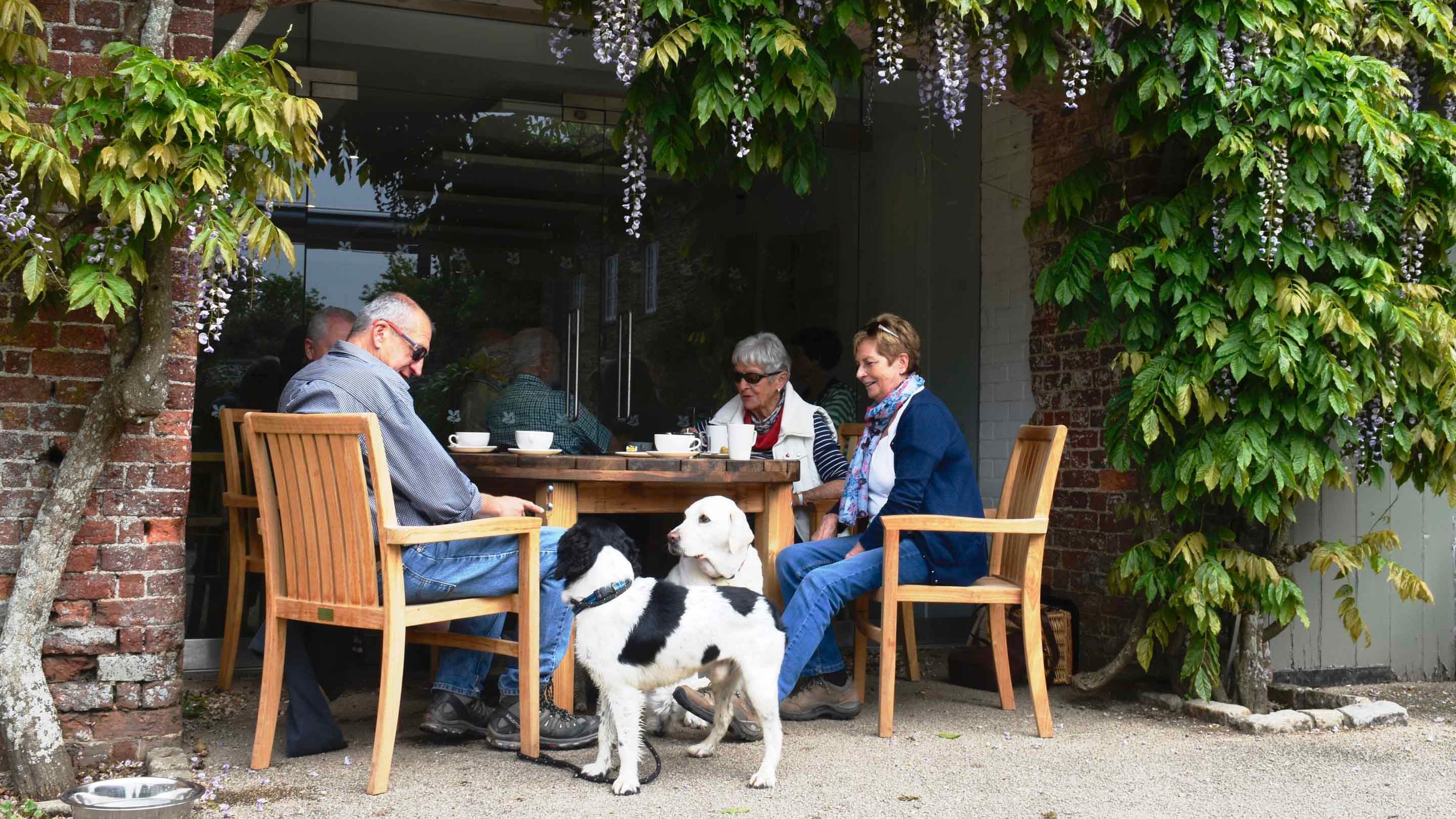 Four adults and two dogs sit at a table under wisteria outside of a café, drinking coffee