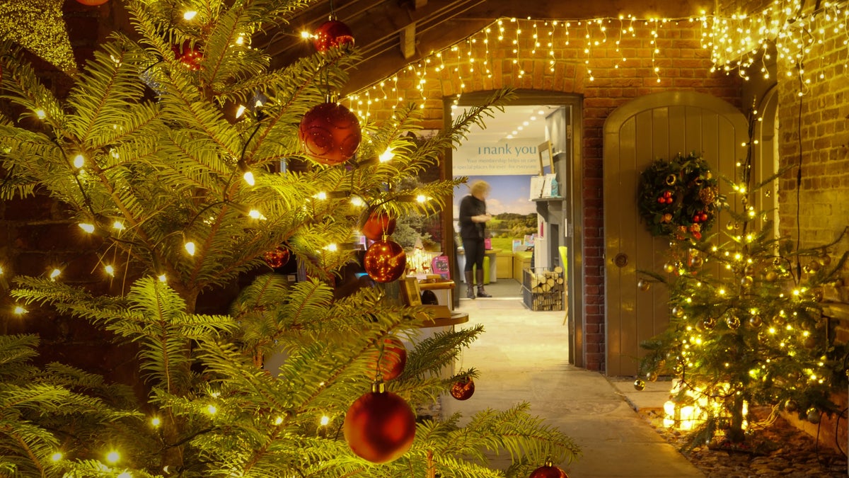 How Do I Get My Dog To Stop Chewing Christmas Lights