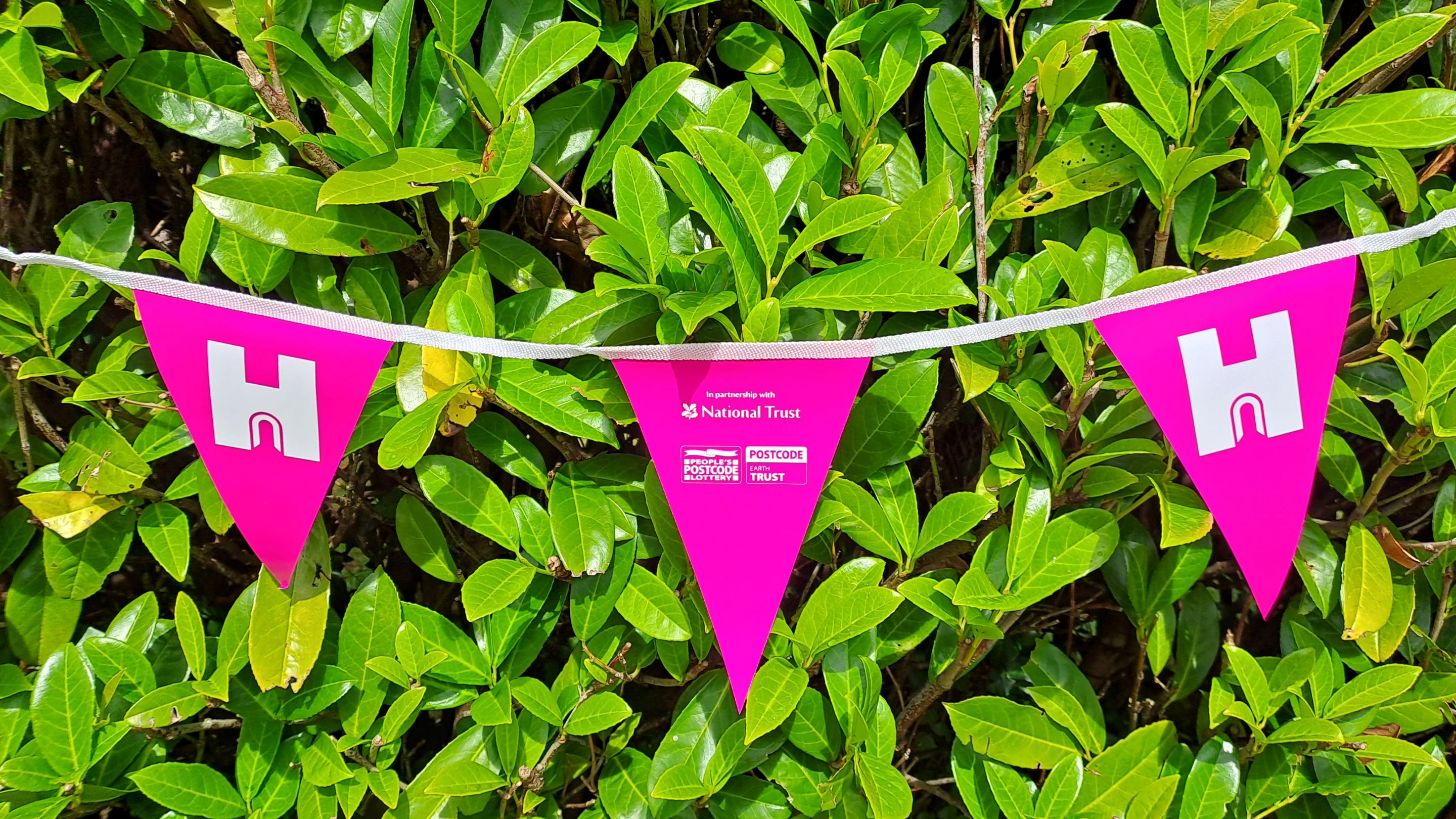 Pink Heritage Open Days bunting hung on a hedge