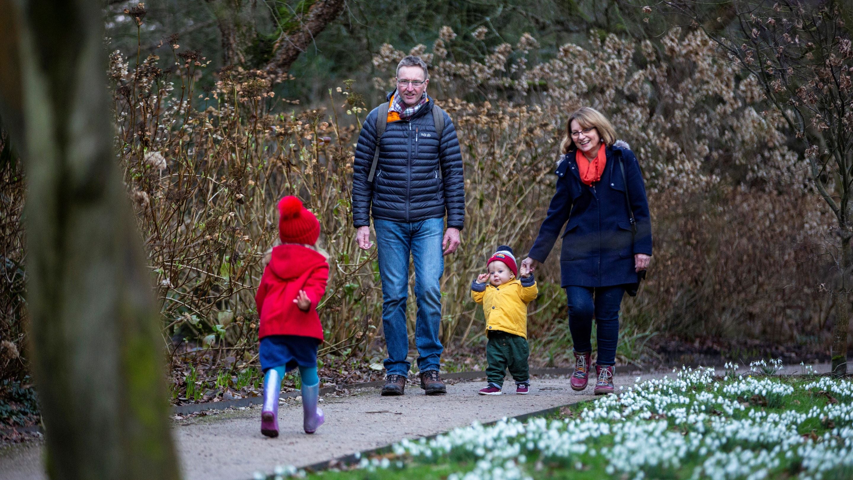 Two adults and two children walking on path bordered by snowdrops