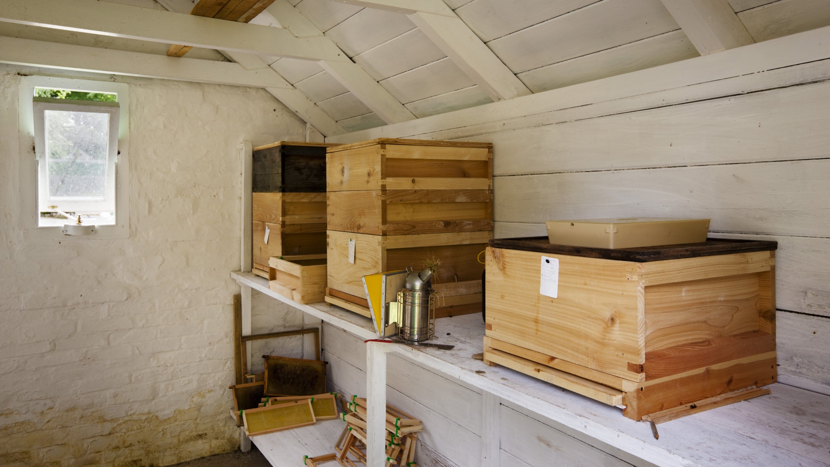 Inside the bee house at Trengwainton Garden, Cornwall