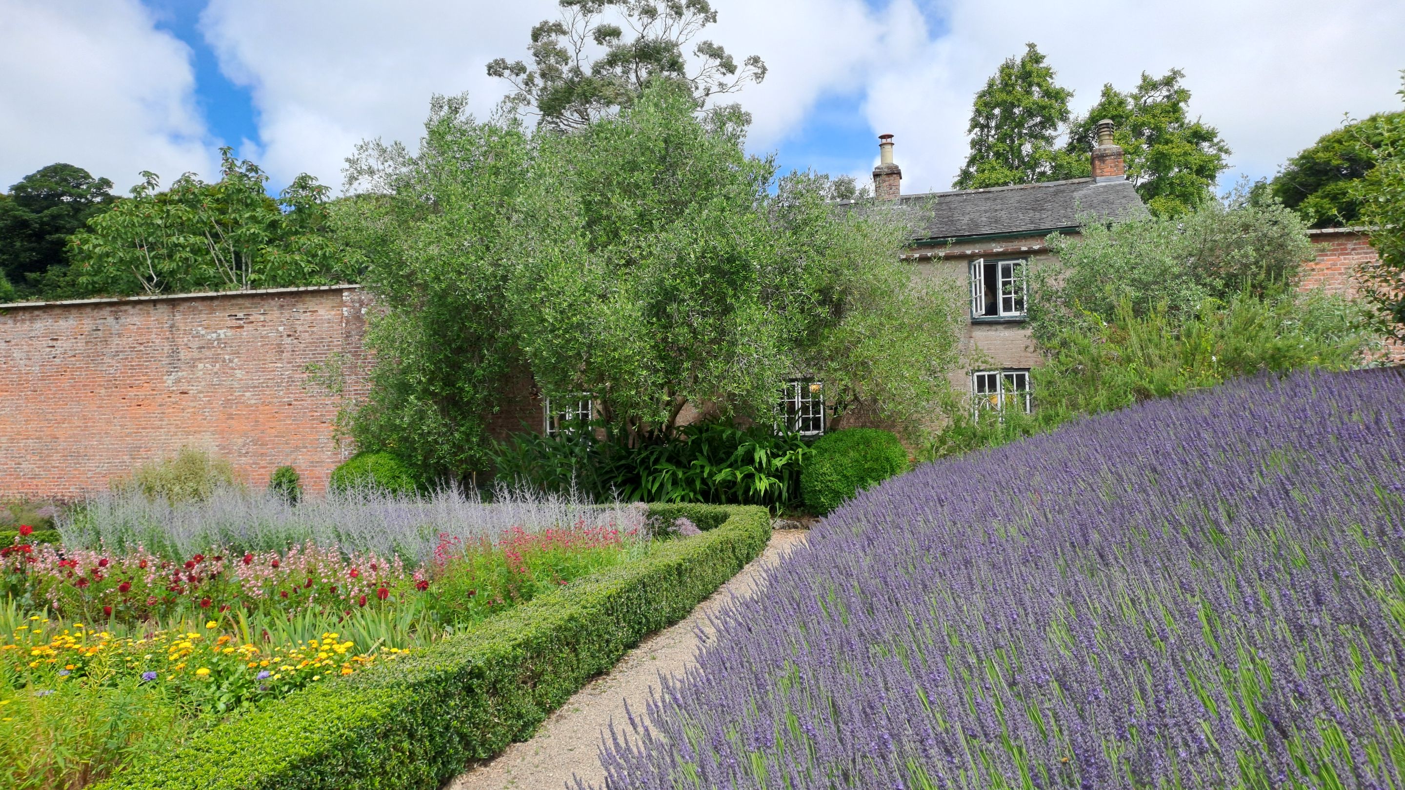 A sloping bed of lavender to the right with a bed of mixed flowers to the left and a brick cottage and brick walls in the centre.