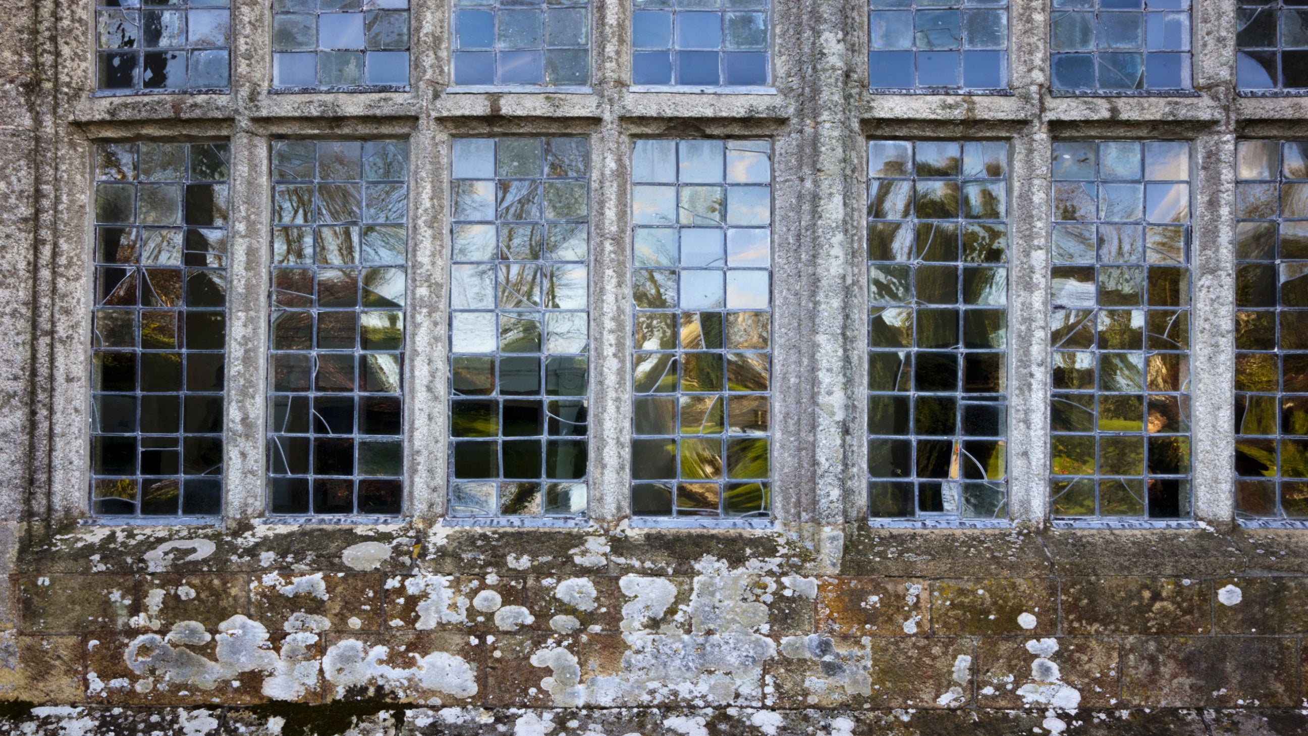 A view of the Great Hall window at Trerice reflecting distorted trees and sky on the tiles of glass, Trerice, Cornwall