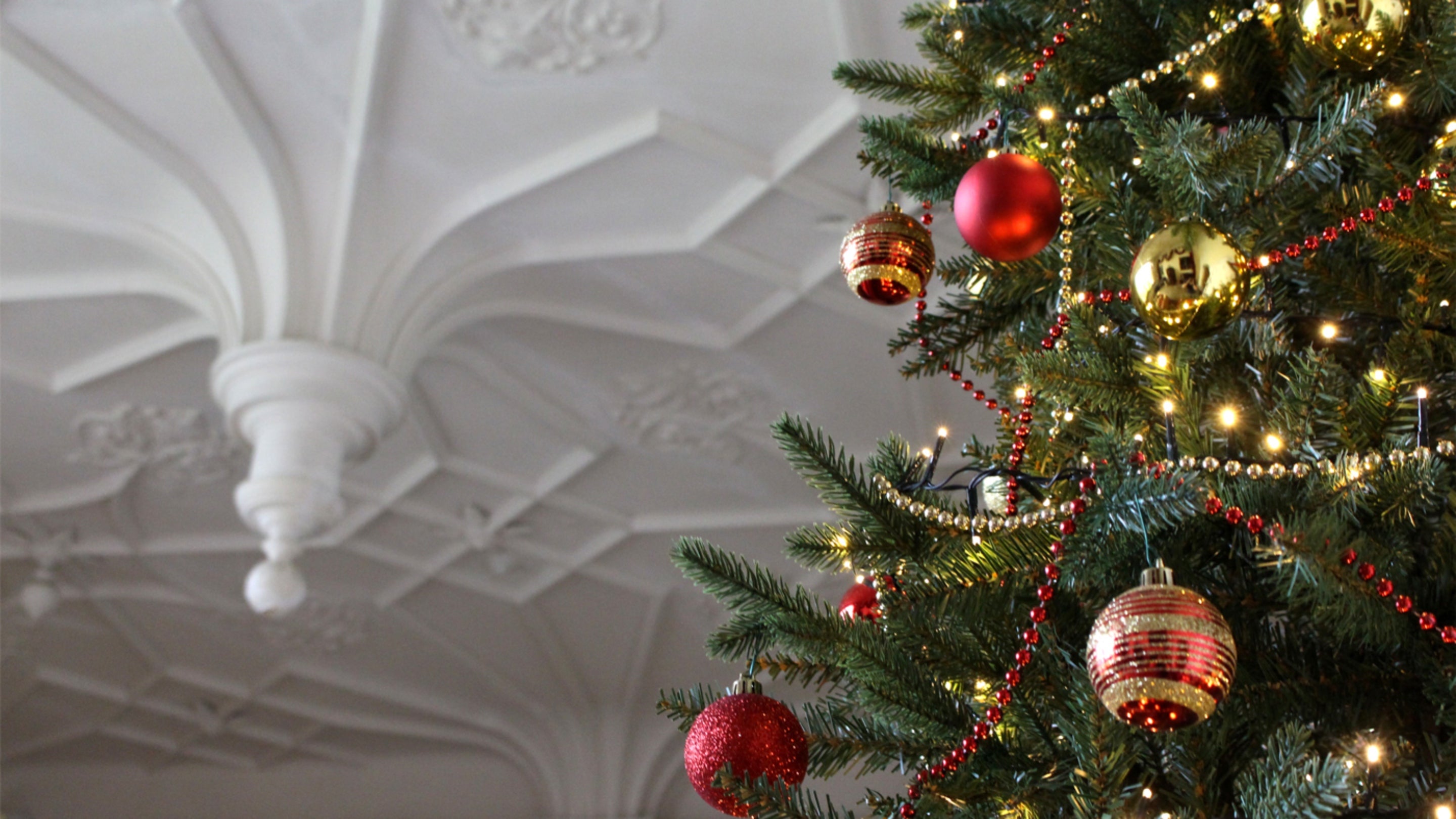 A partial view of a Christmas tree with the Great Hall plaster ceiling in the background. There are red and gold baubles, fairy lights and beads decorating the tree.