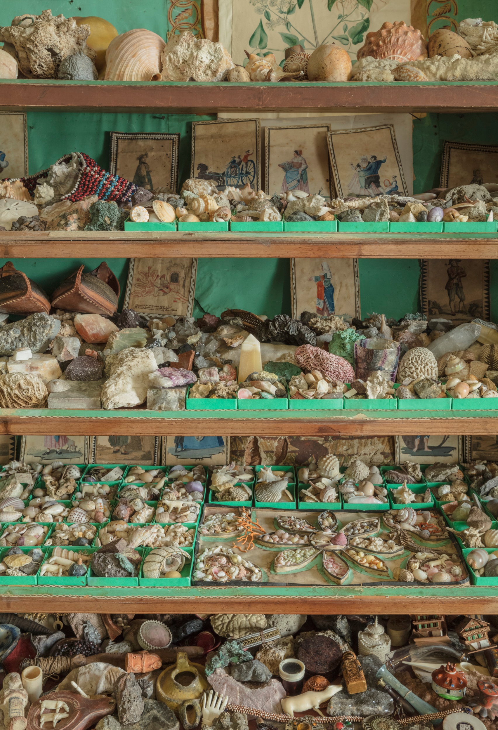 The interior of the cabinet of curiosities in the Library at A la Ronde, Devon.