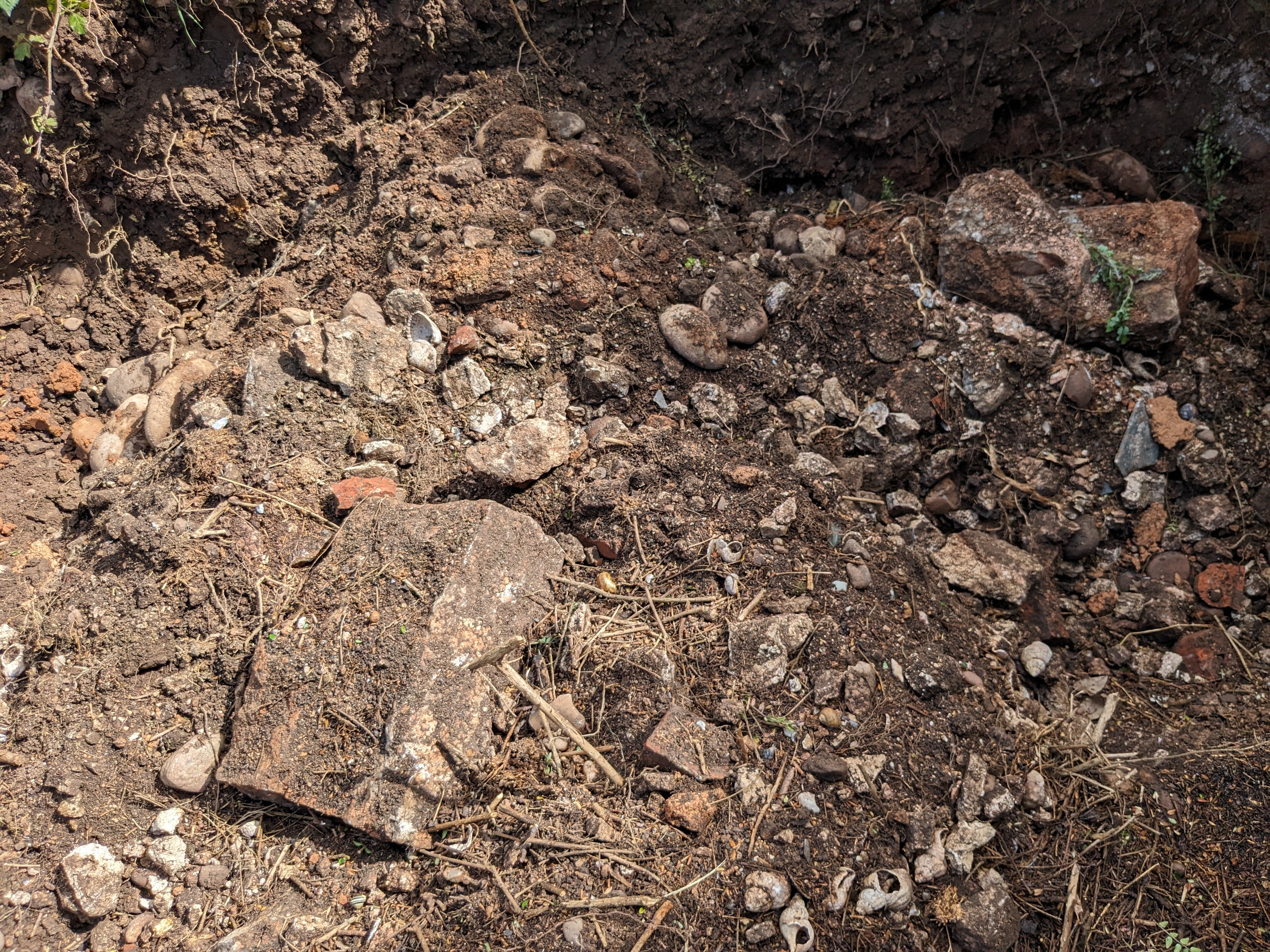 Freshly excavated shells and render