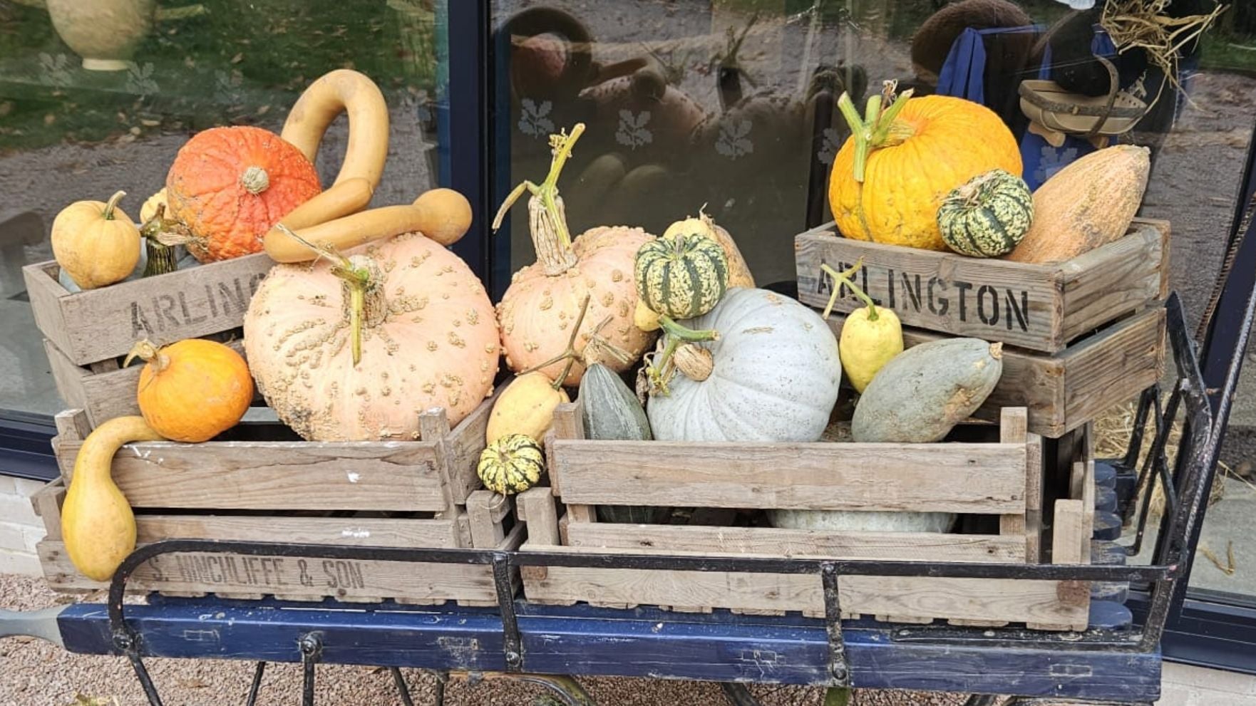 Crates filled with pumpkins and squashes on a table