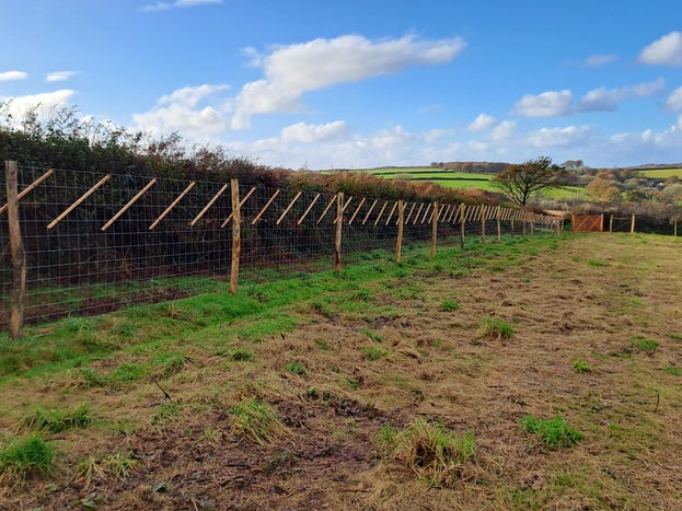 A field with a fence up against the wood