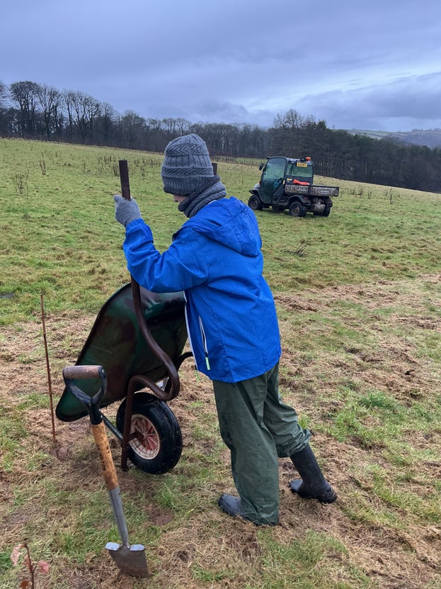 A child from behind, lifting a wheelbarrow in a field