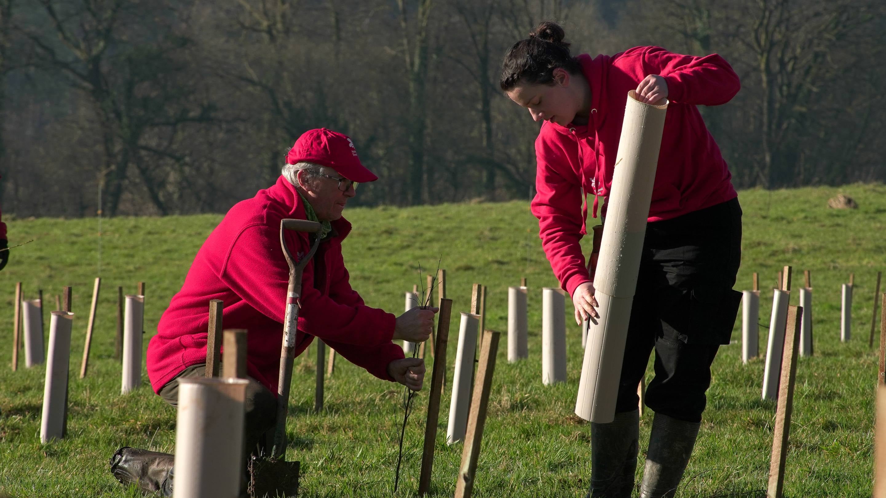 Two people, one holding a tree while the other places a guard around it.