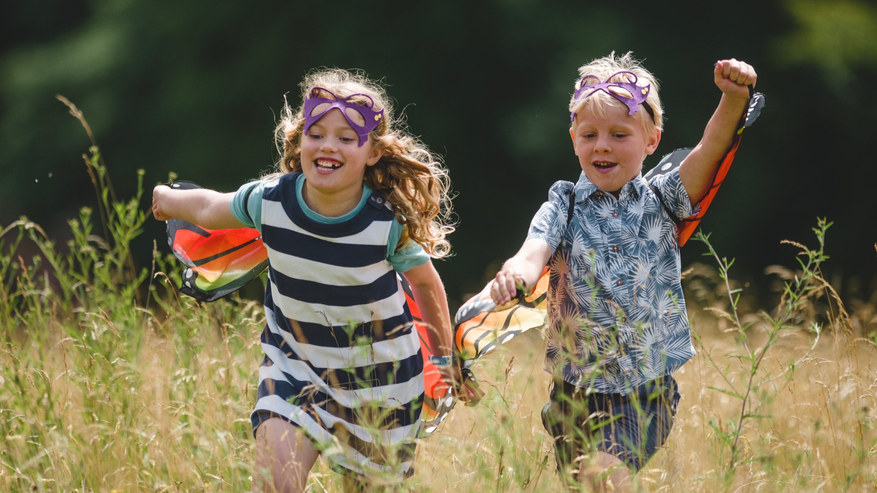 Two children running across a field of grass holding hands, one is wearing butterfly wings