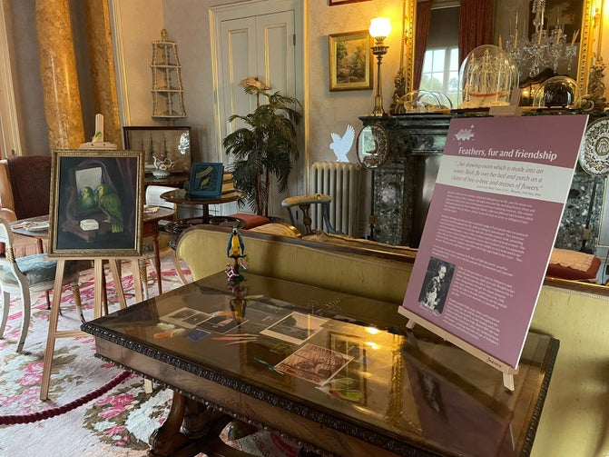 A display of boards, pictures, a lego parrot, a painting of a parrot and a projection of a parrot in the White Drawing Room