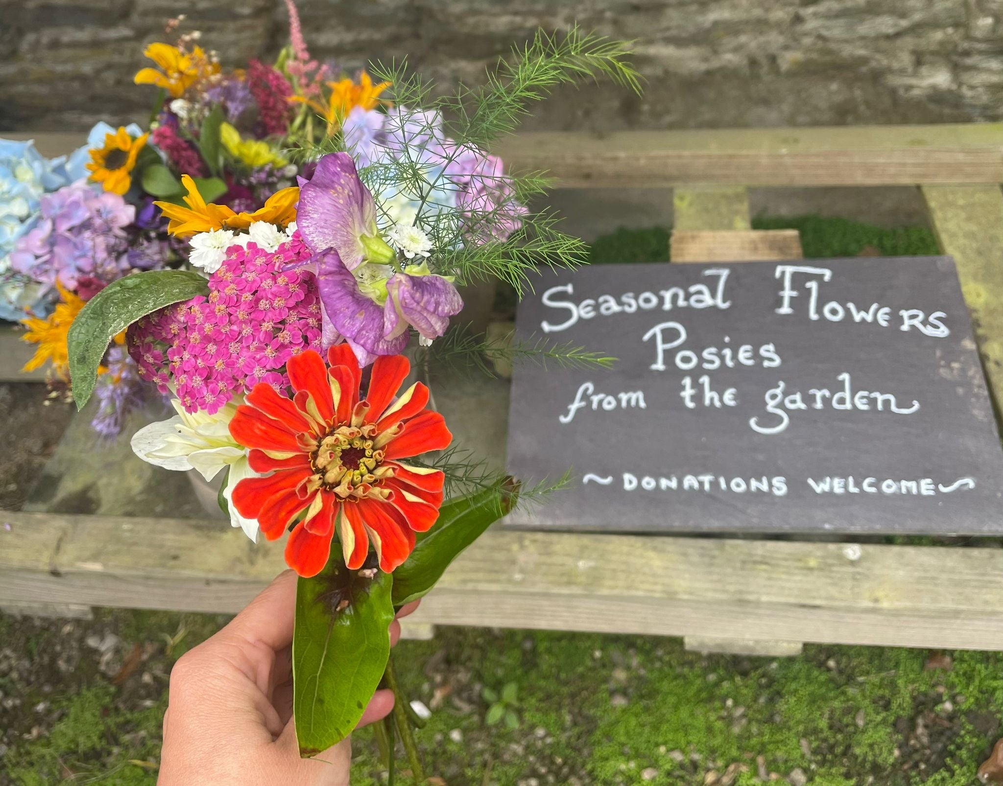 Posies at Arlington Court