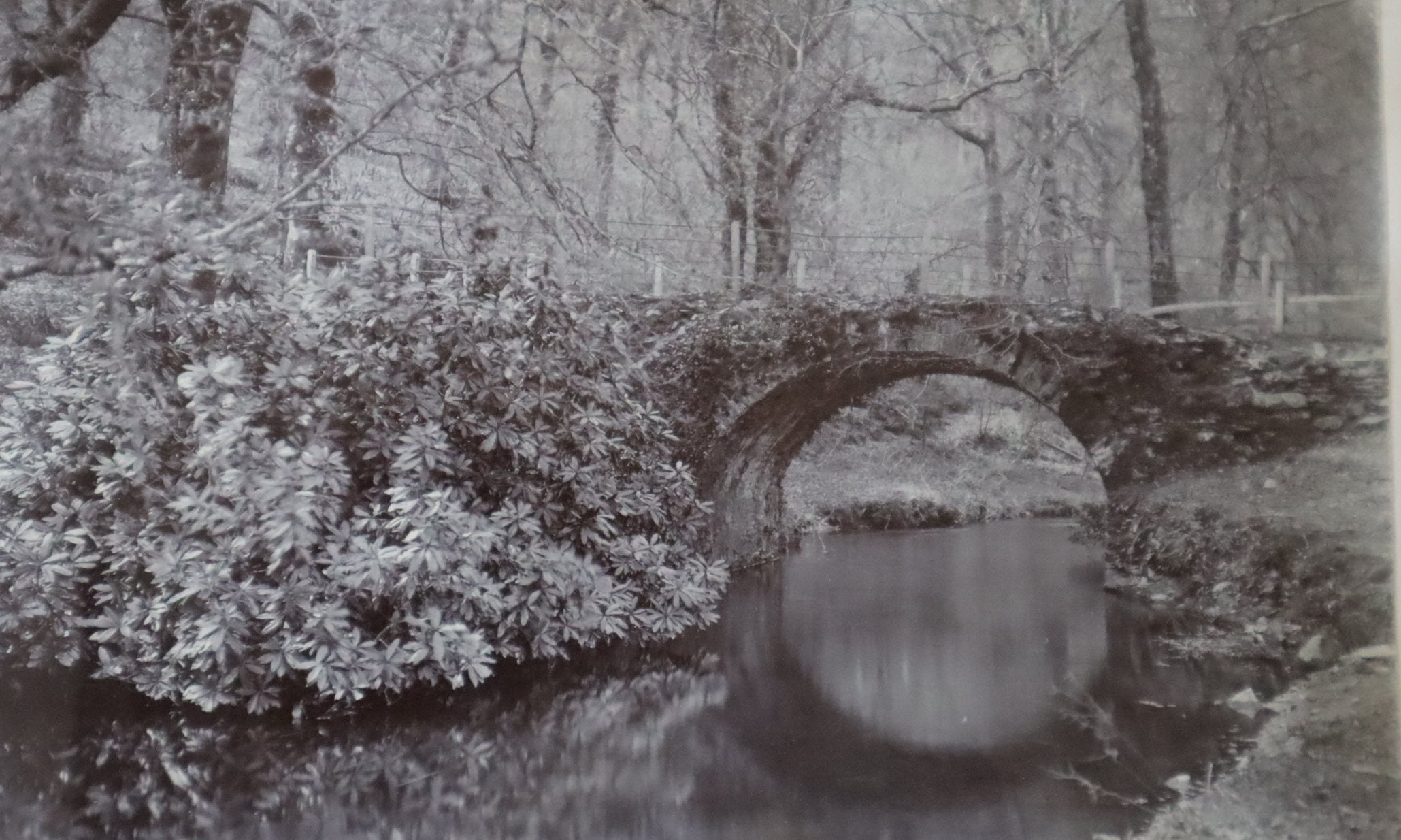 A black and white photo of a bridge