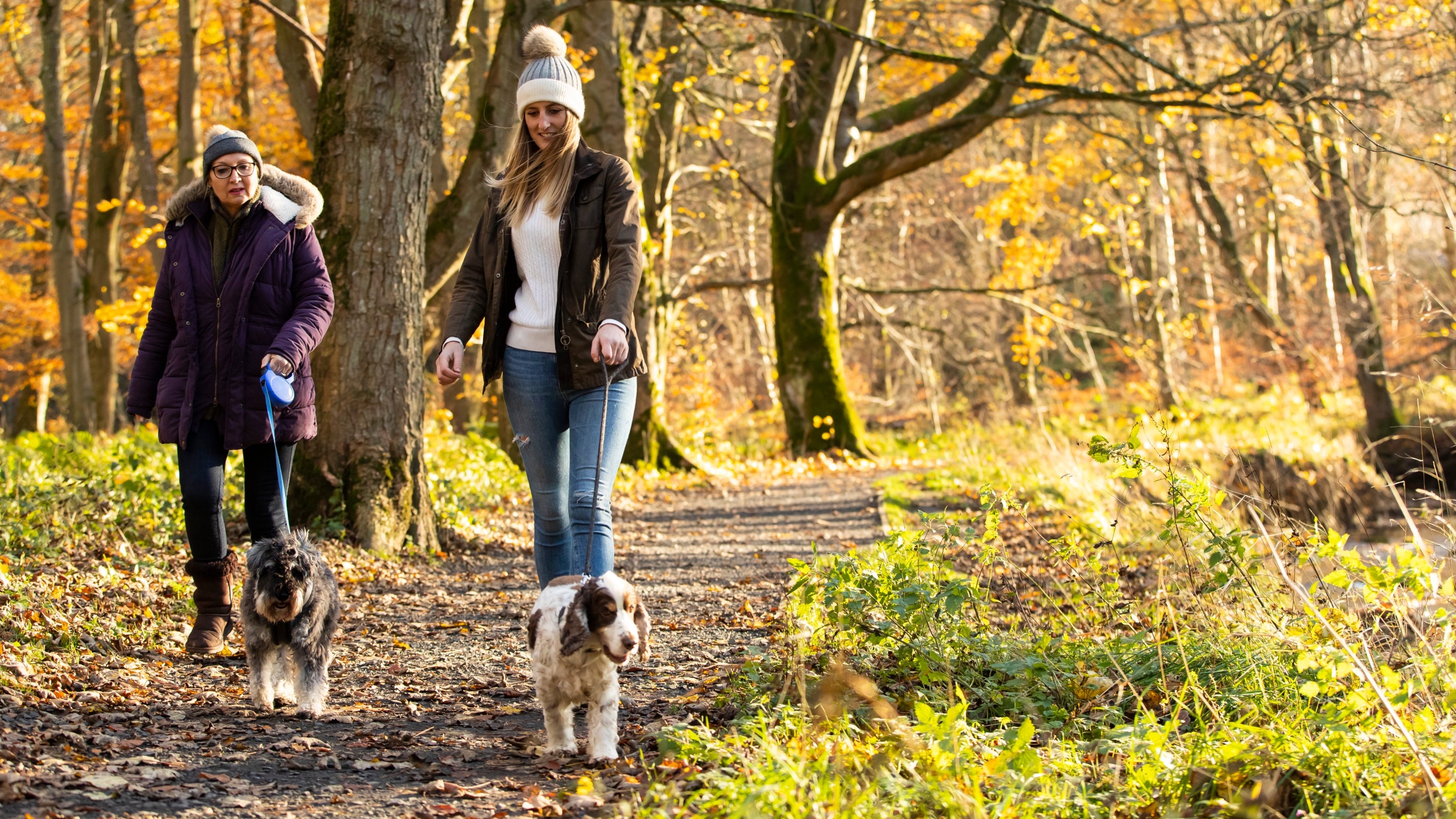 Two women walking their dogs surrounded by autumnal trees